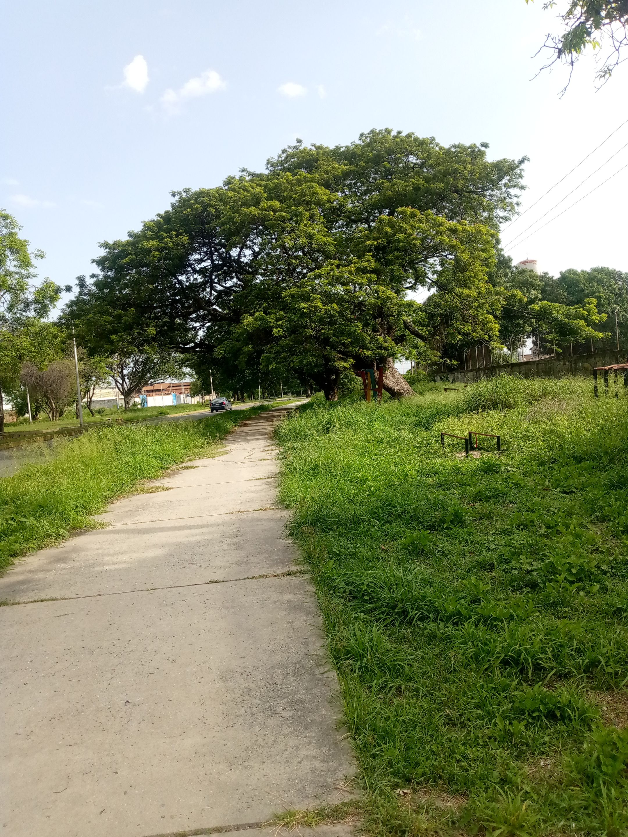 IMG_20250603_162510_266.jpg