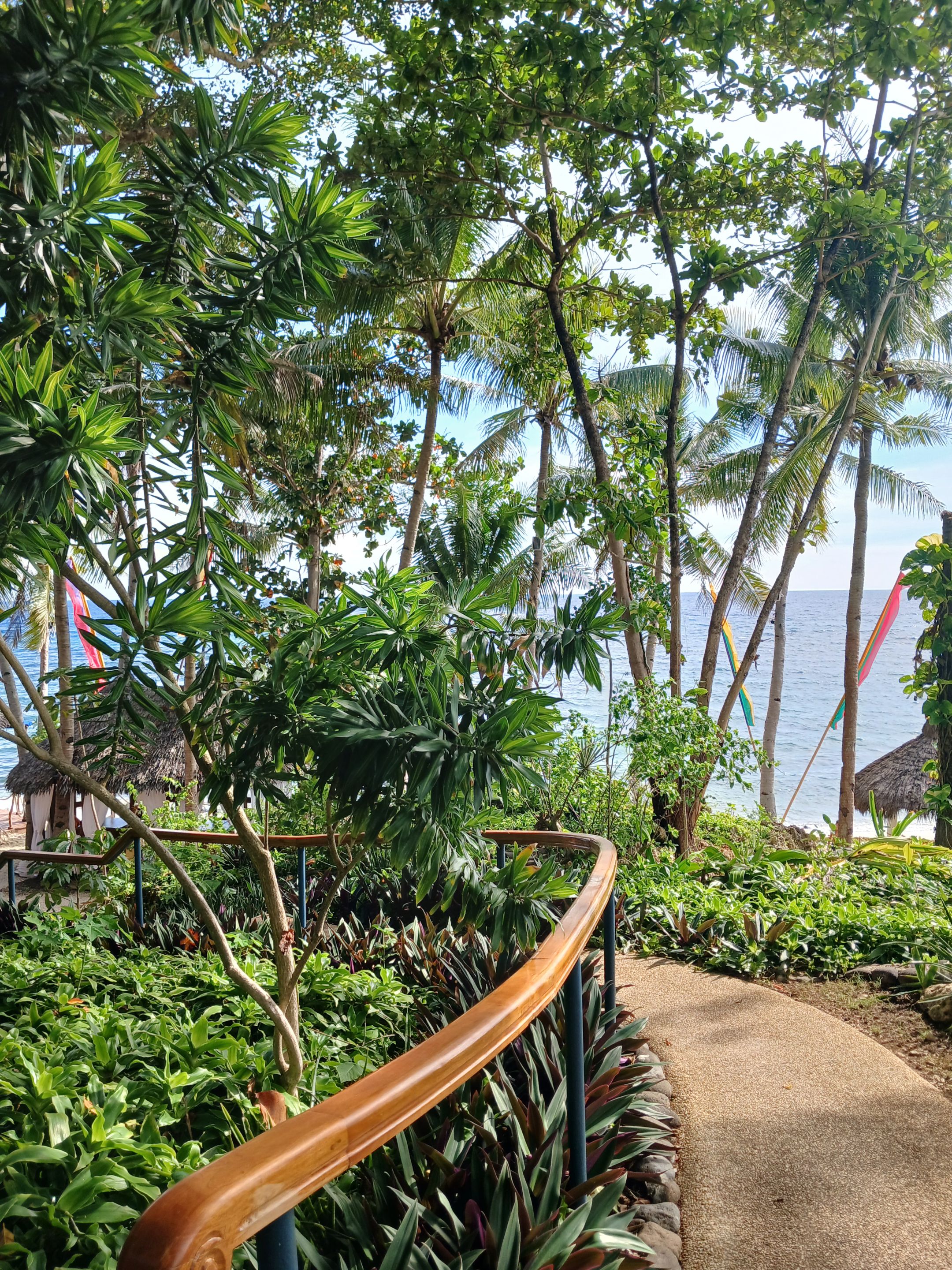 PATH A COCO G1.jpg