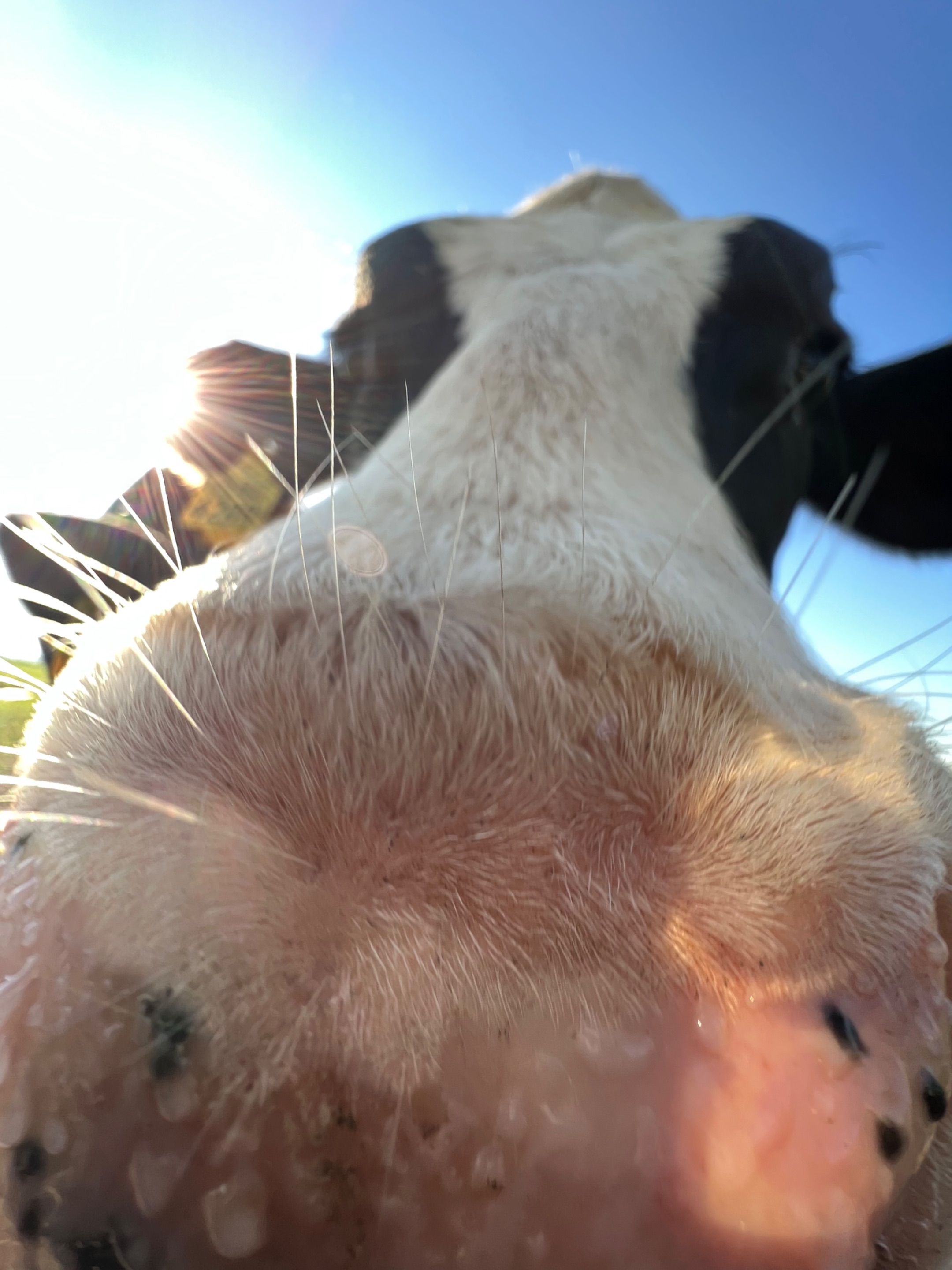 IMG_9162.jpeg