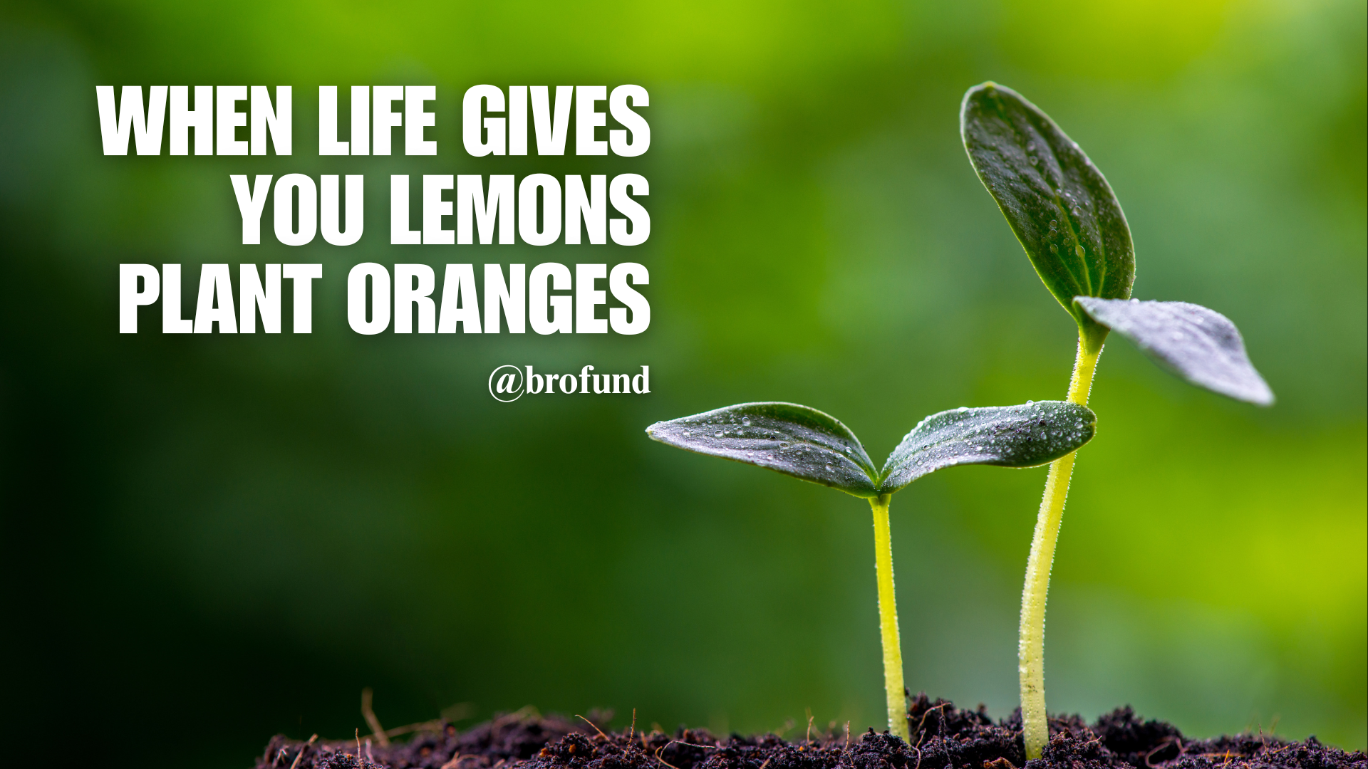 life gives you lemons.png