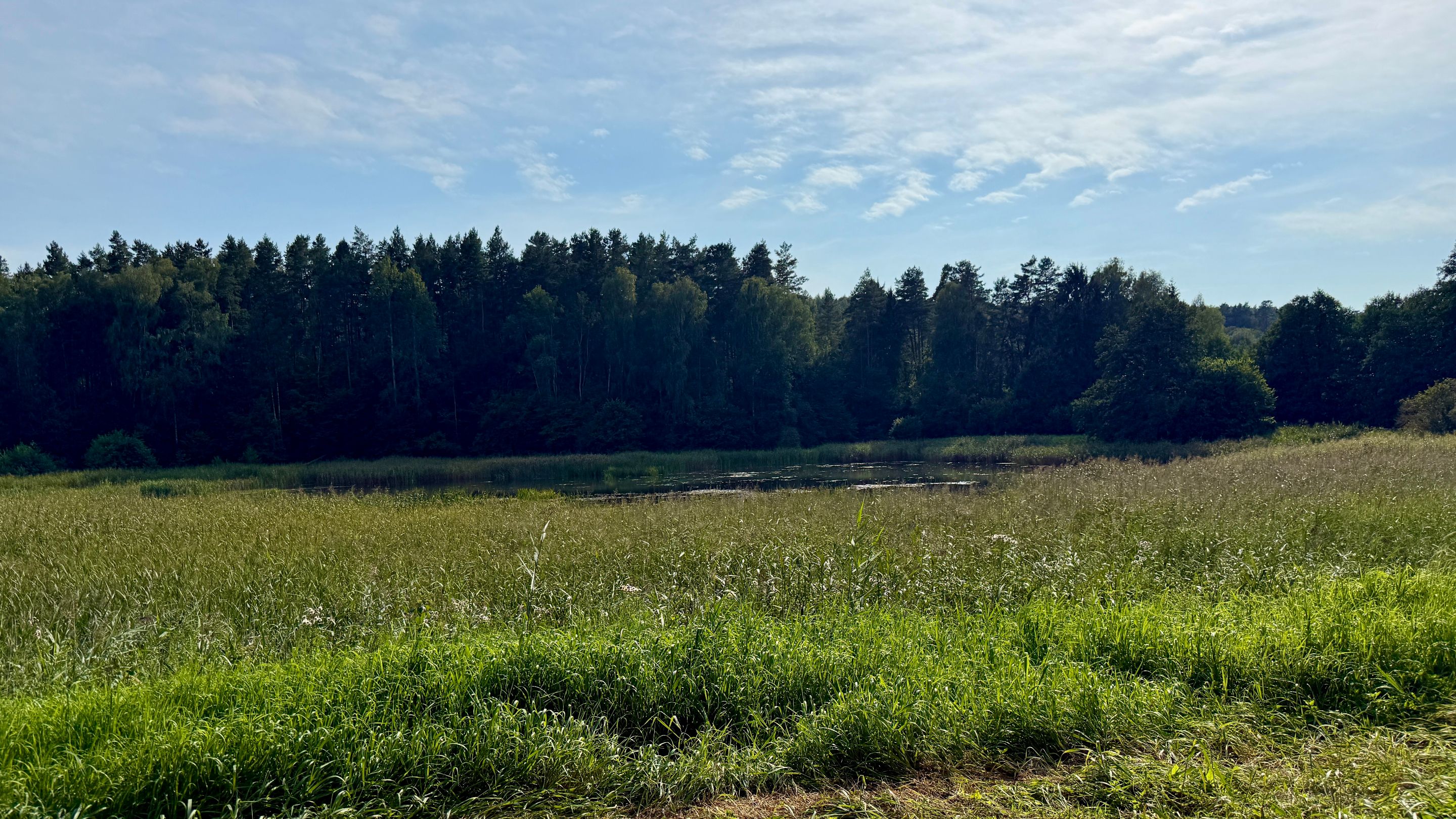 IMG_8773.jpeg