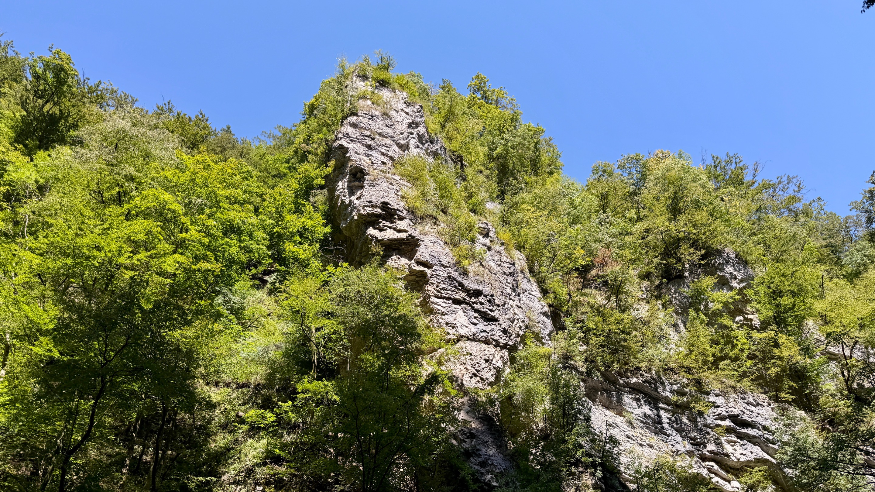 IMG_7294.jpeg