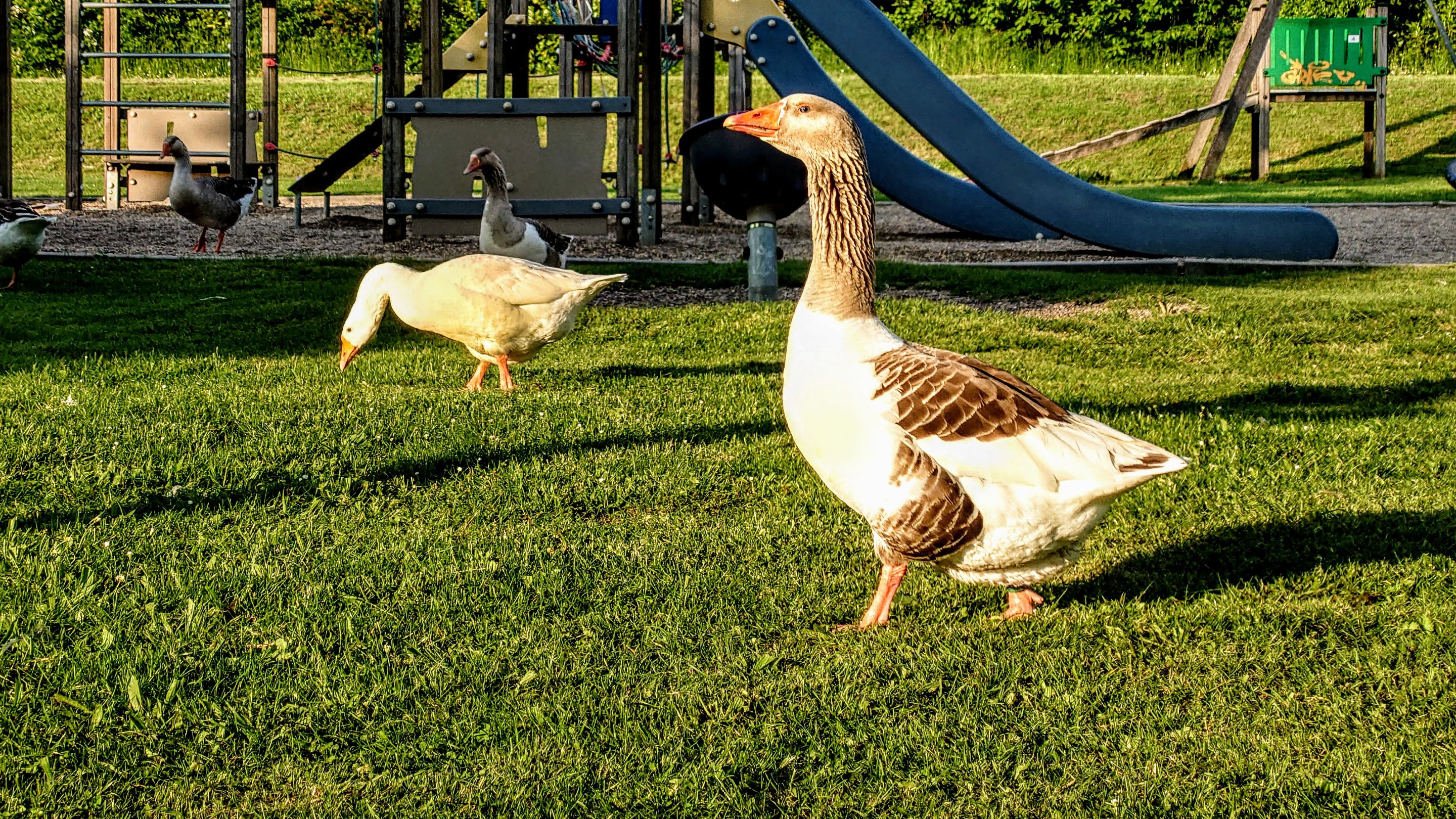 20230524_200133.JPG