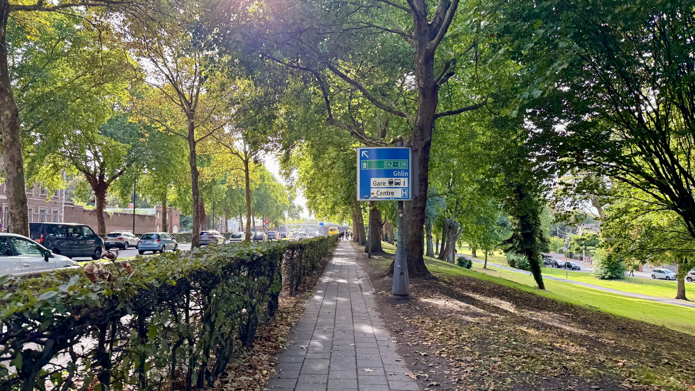 IMG_9304.jpeg