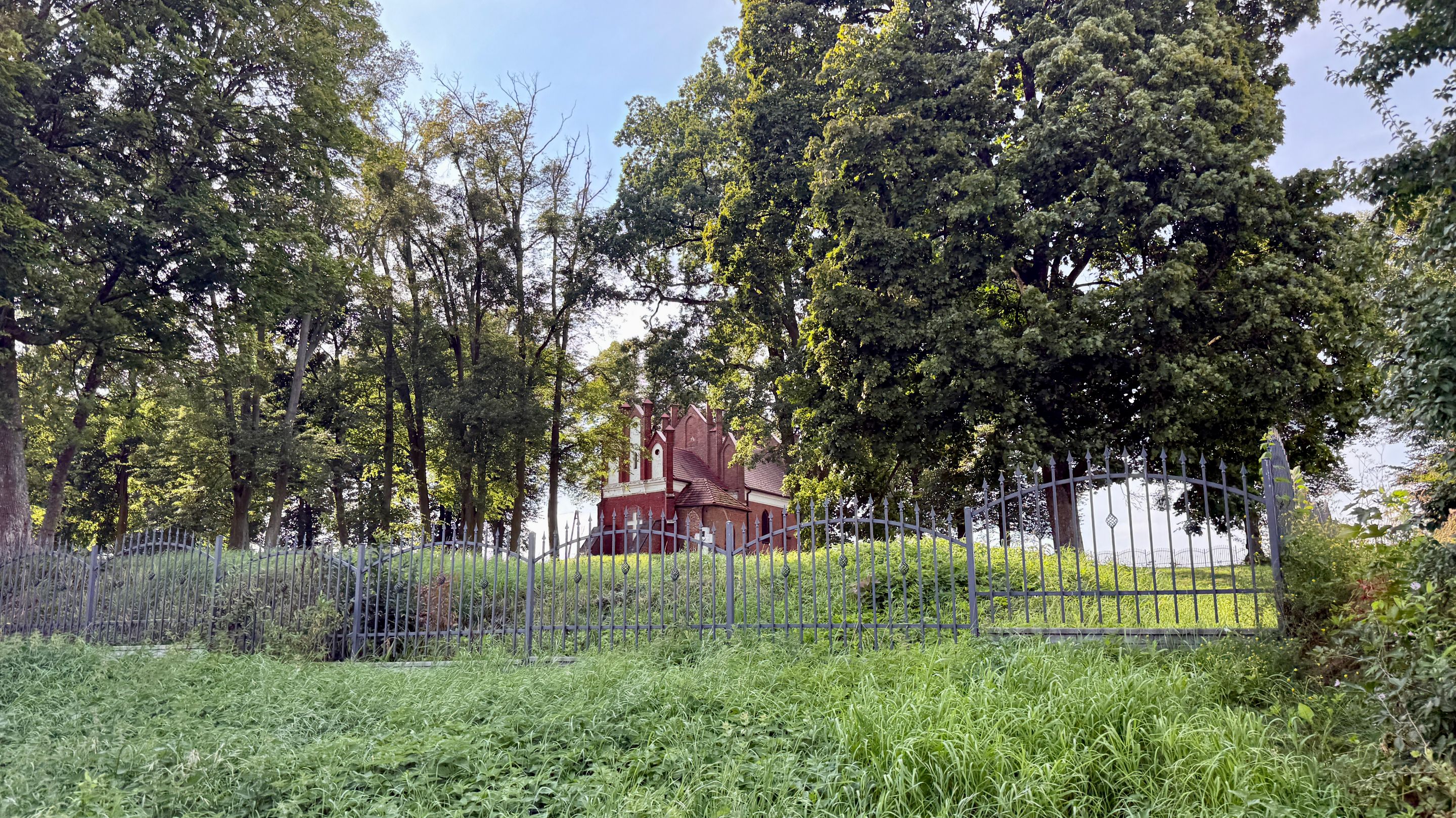 IMG_8782.jpeg