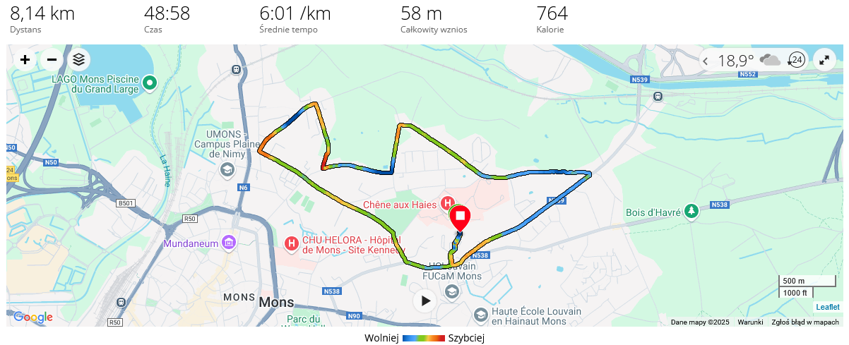 screenshot-connect.garmin.com-2025.06.06-21_28_01.png