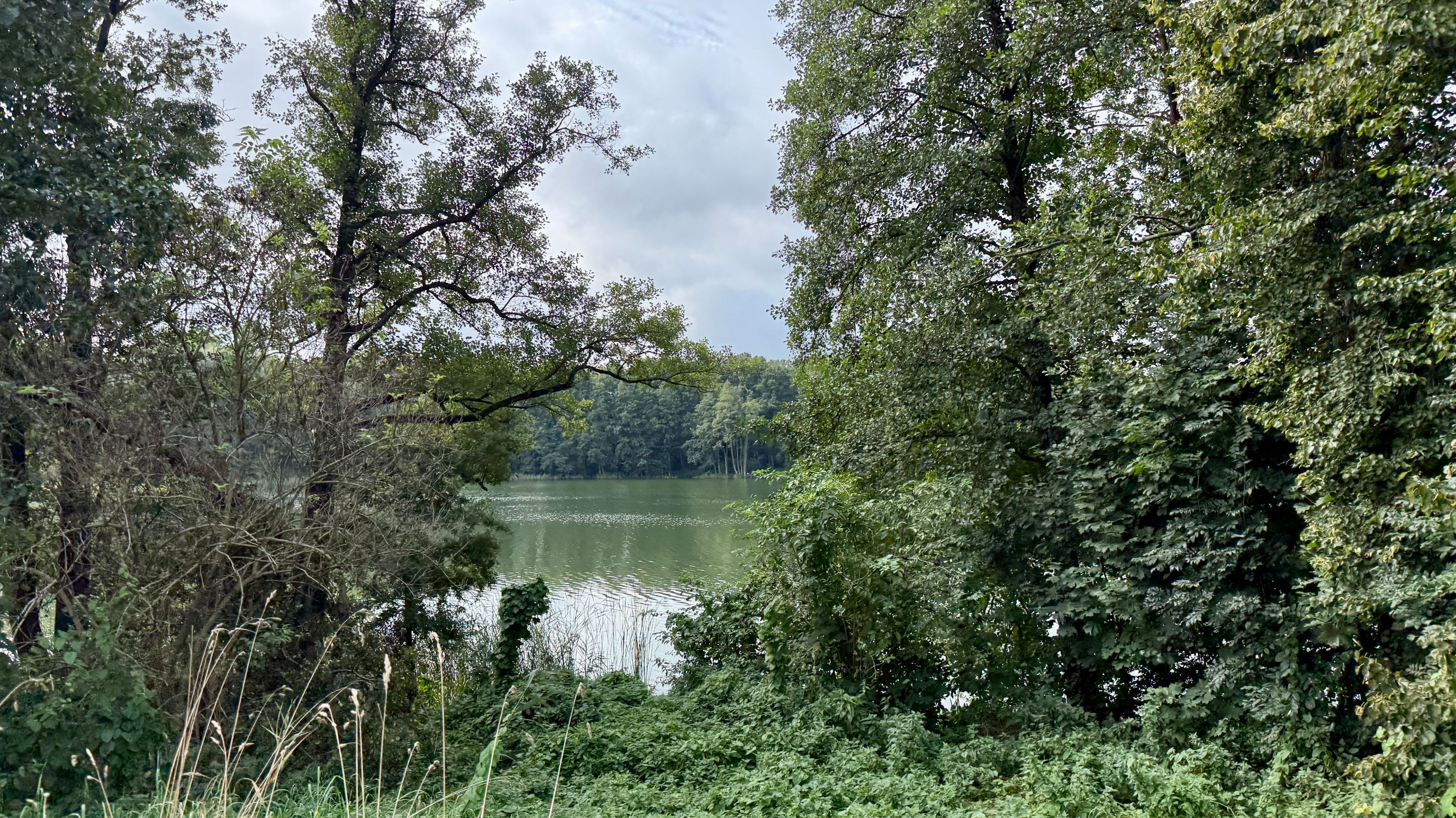 IMG_8821.jpeg