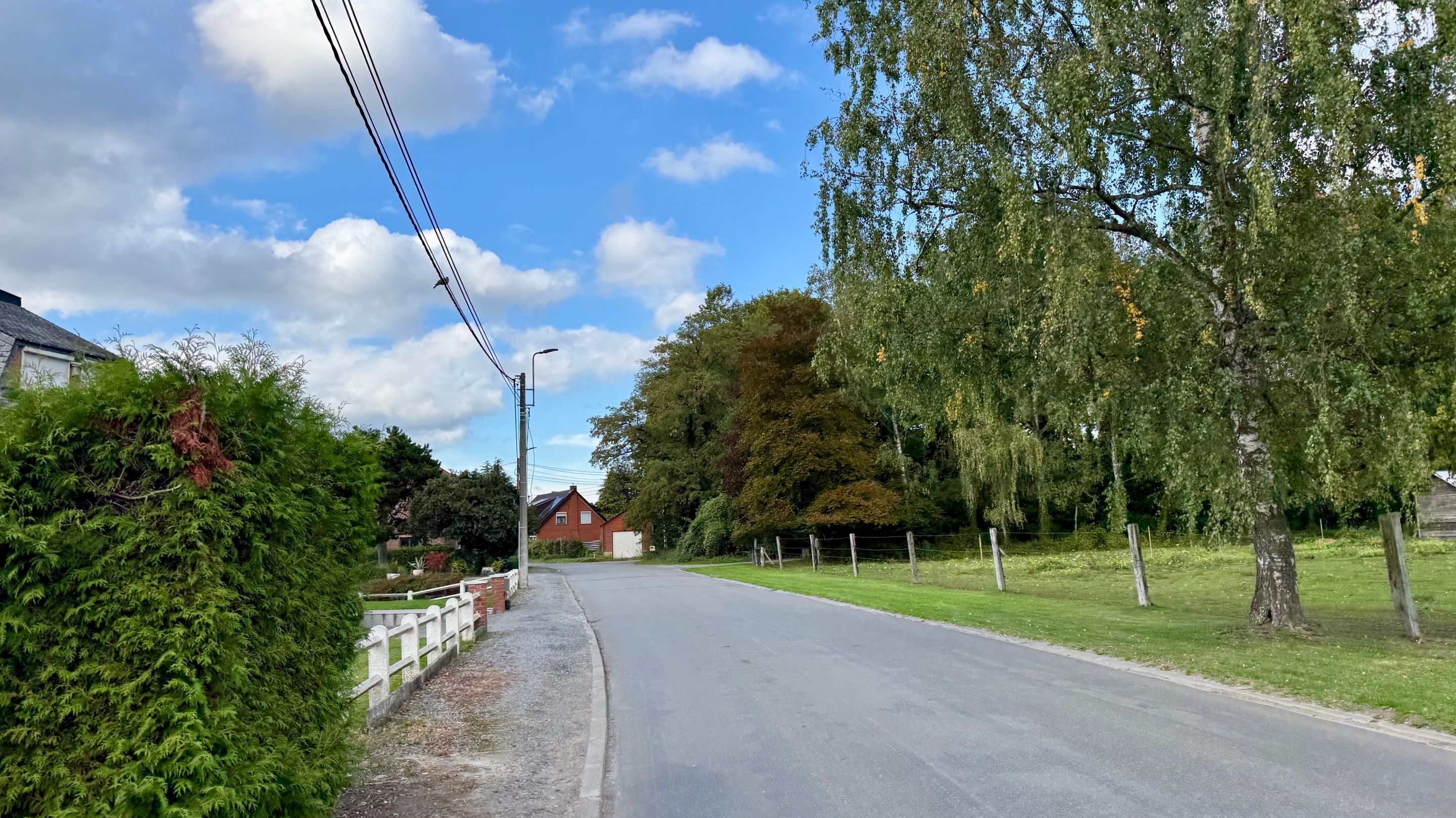 IMG_9415.jpeg