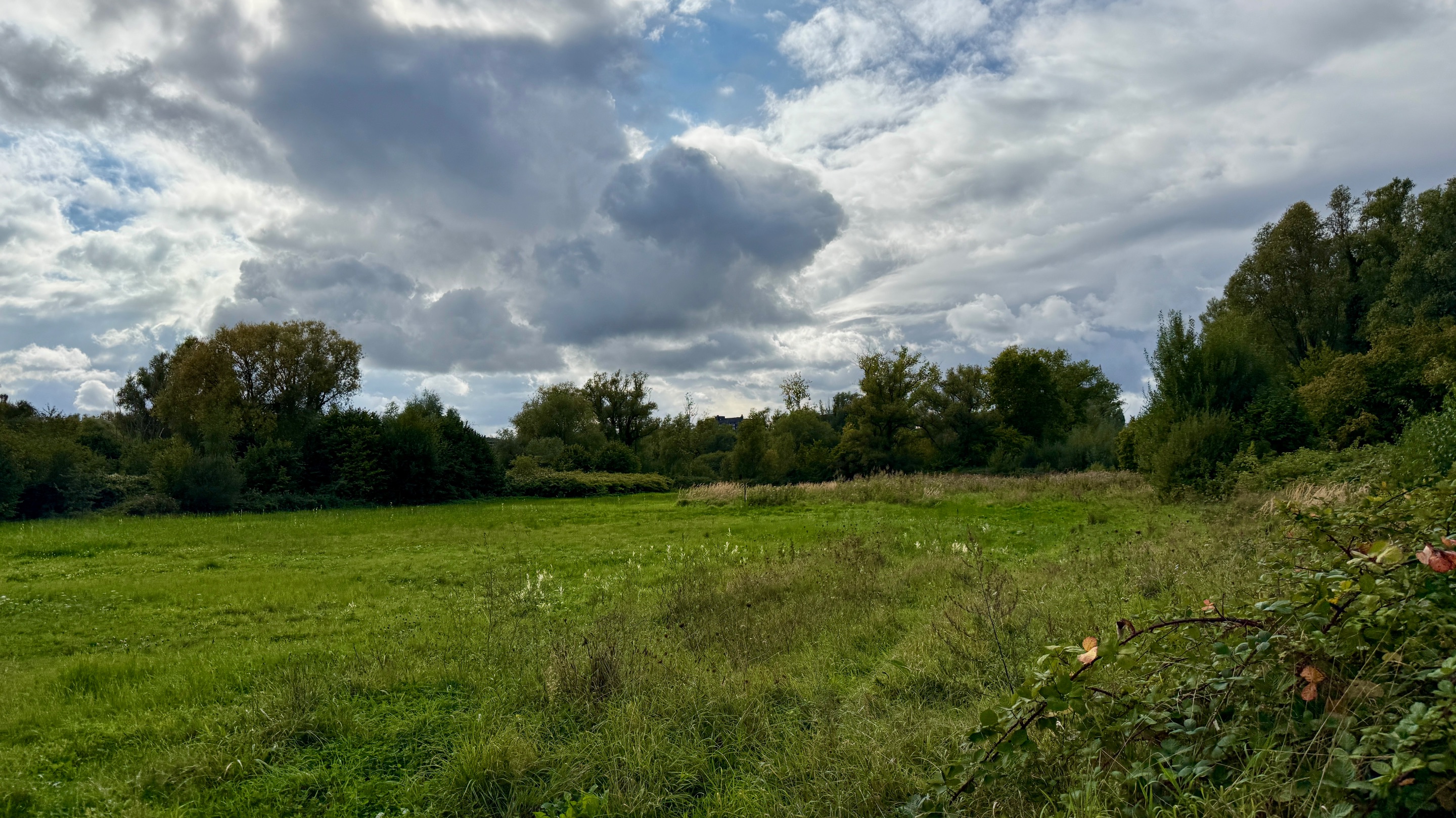 IMG_9361.jpeg