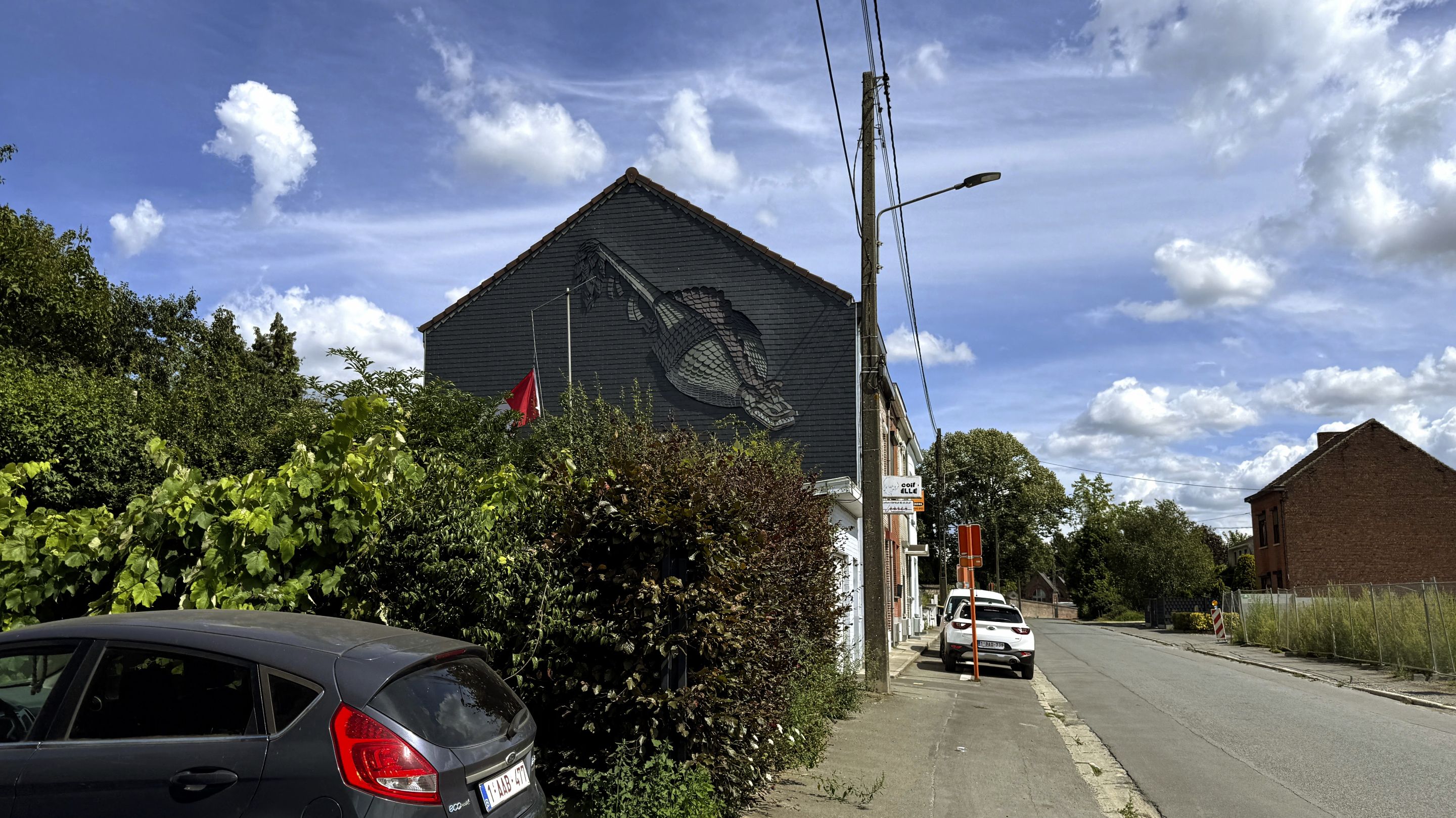 IMG_5766.JPG