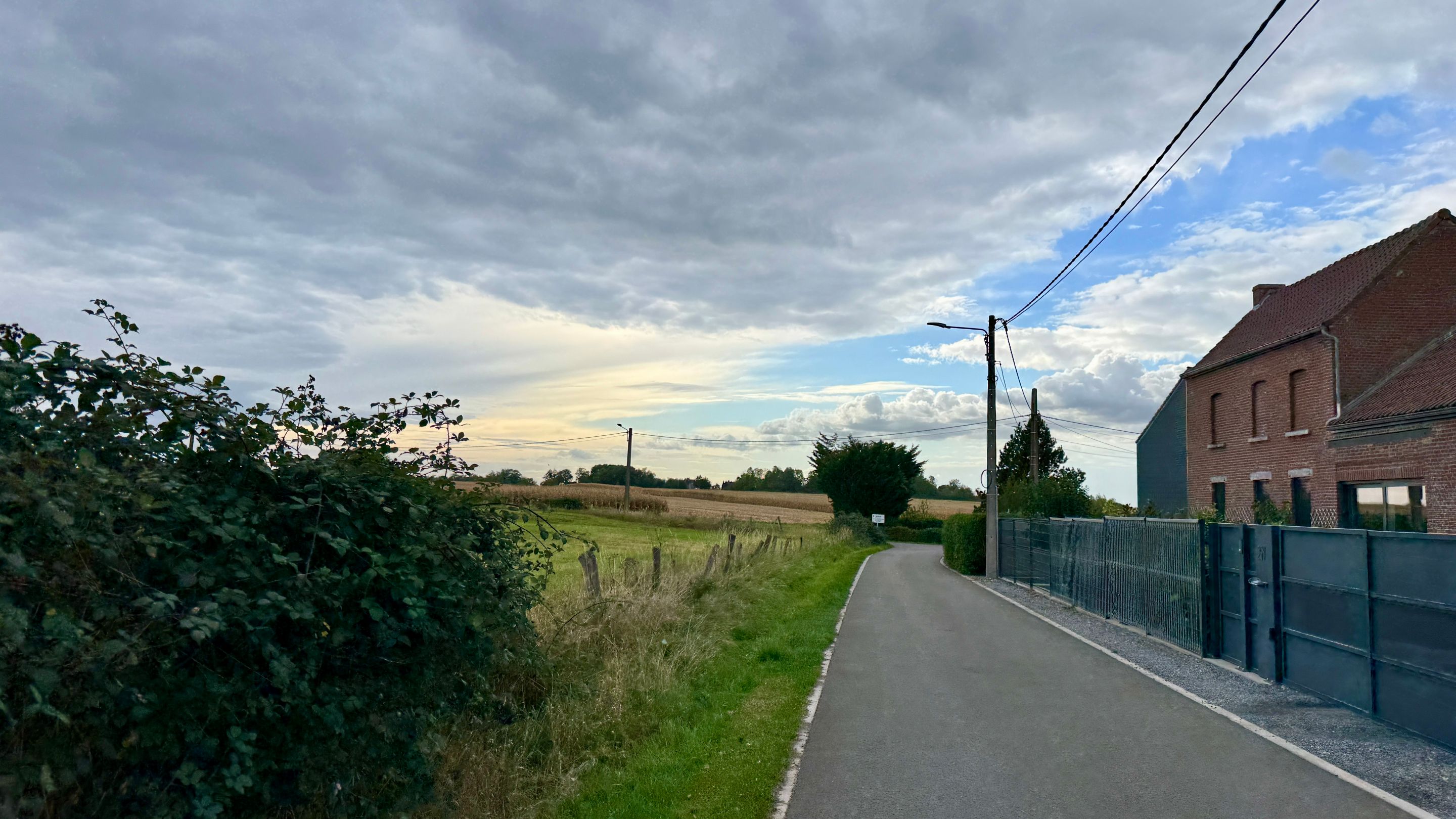 IMG_9383.jpeg