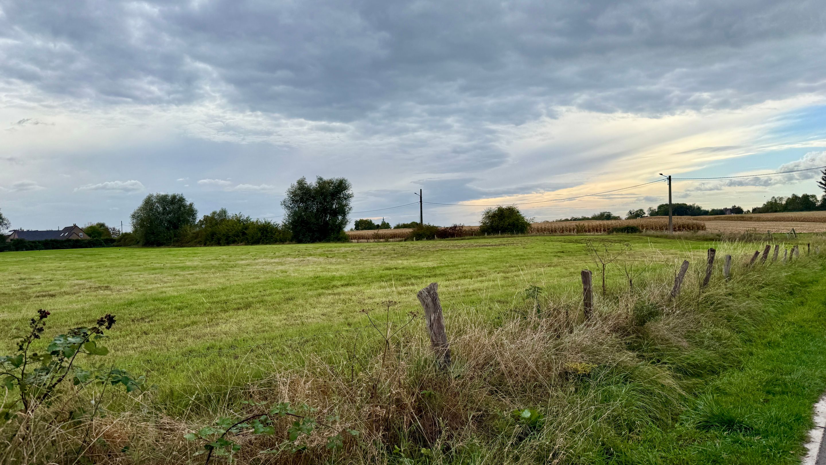 IMG_9384.jpeg
