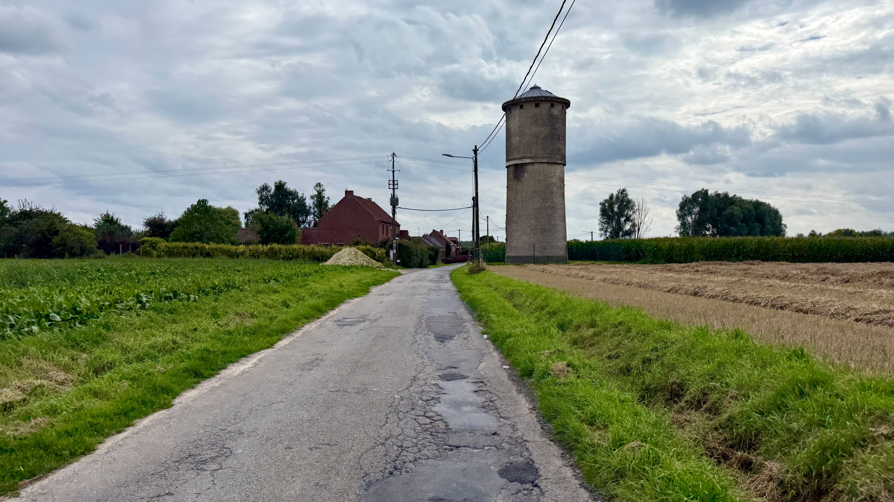 IMG_6103.jpeg