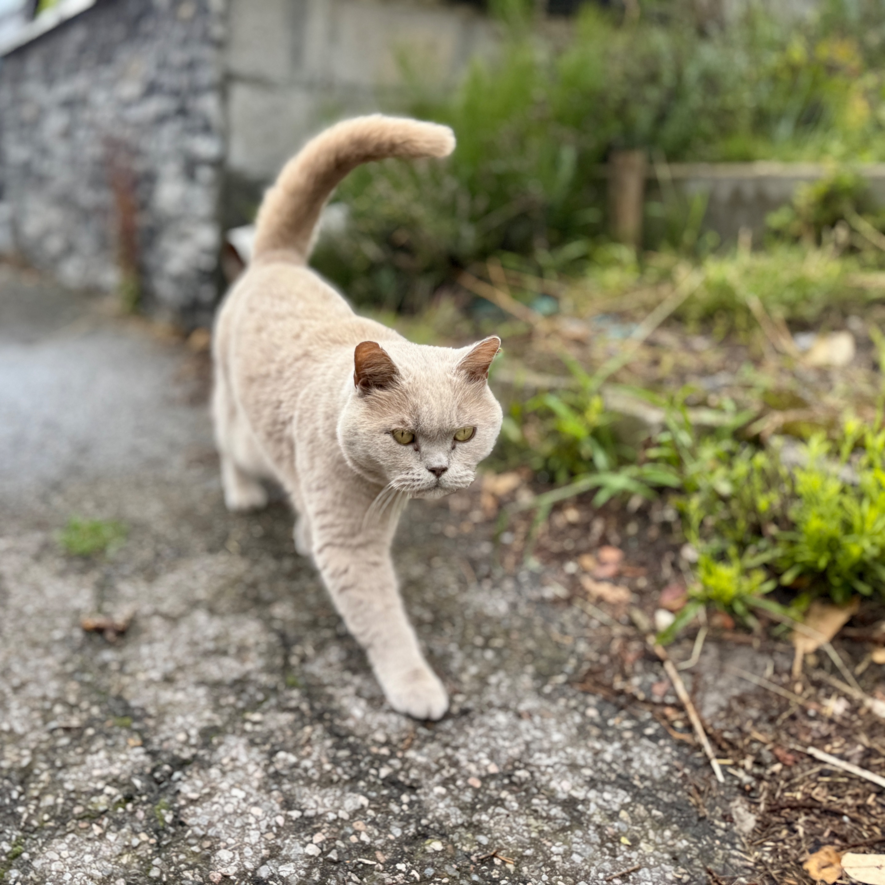 IMG_6025.jpeg