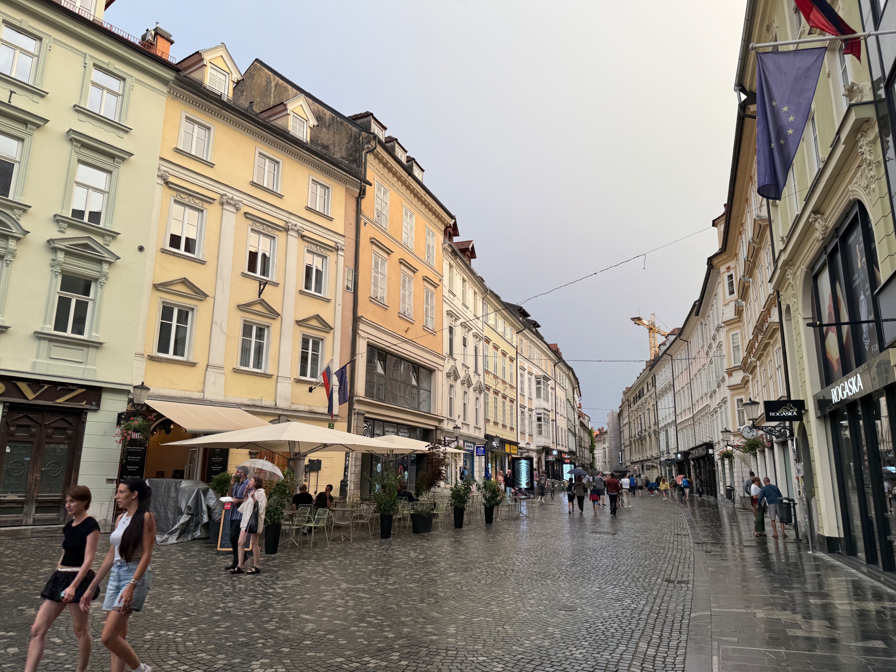 IMG_6775.jpeg