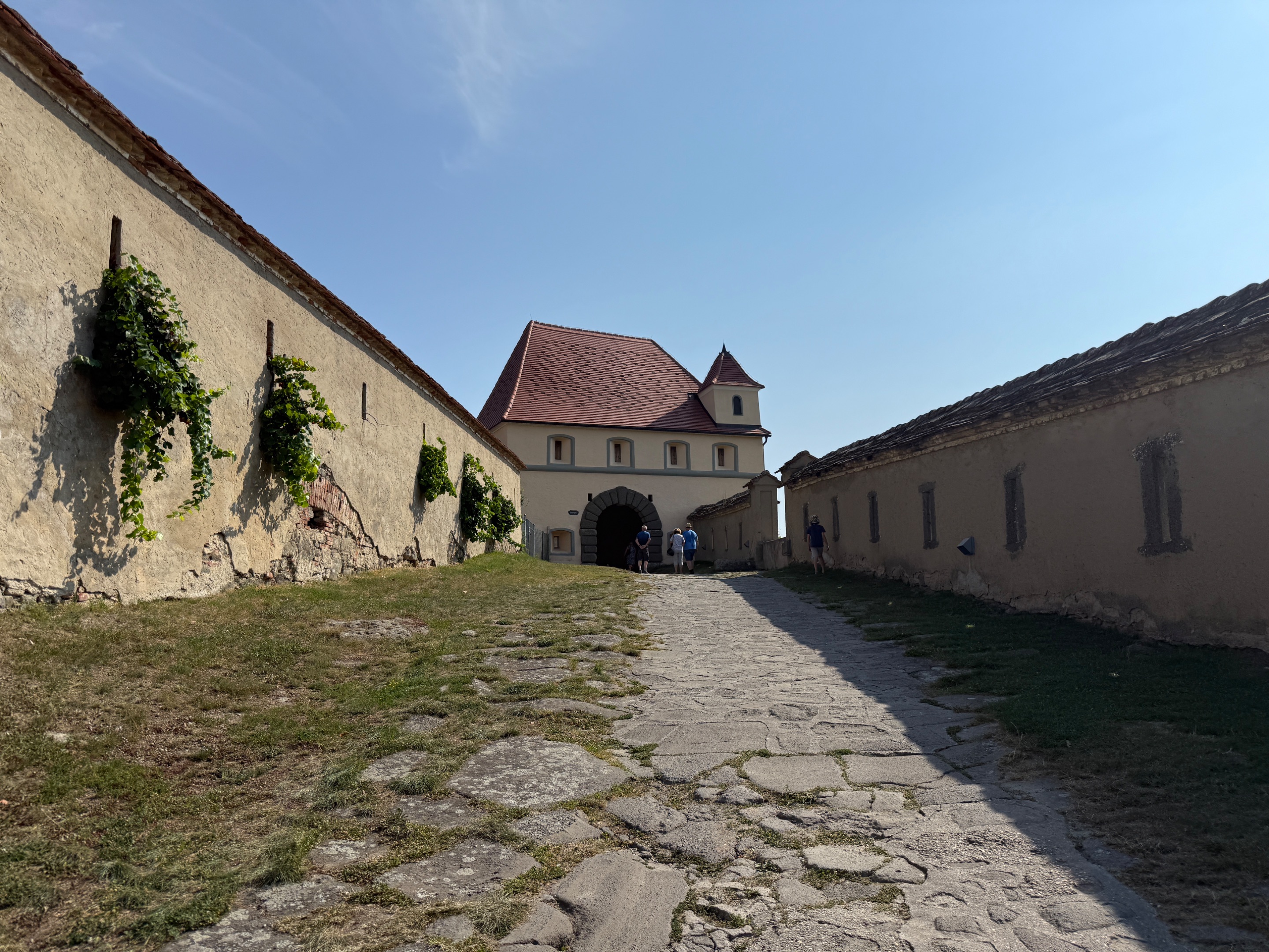 IMG_6596.jpeg