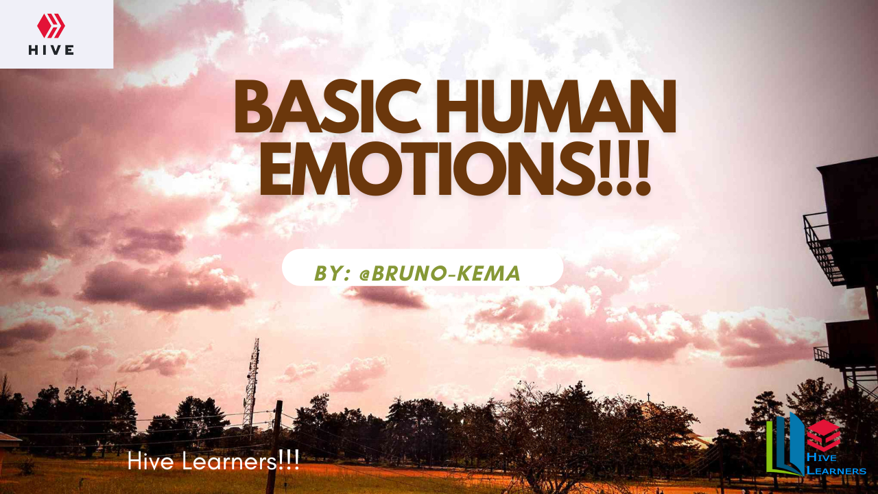 Green and White Minimalist Nature Travel Vlog Youtube Thumbnail (26).png