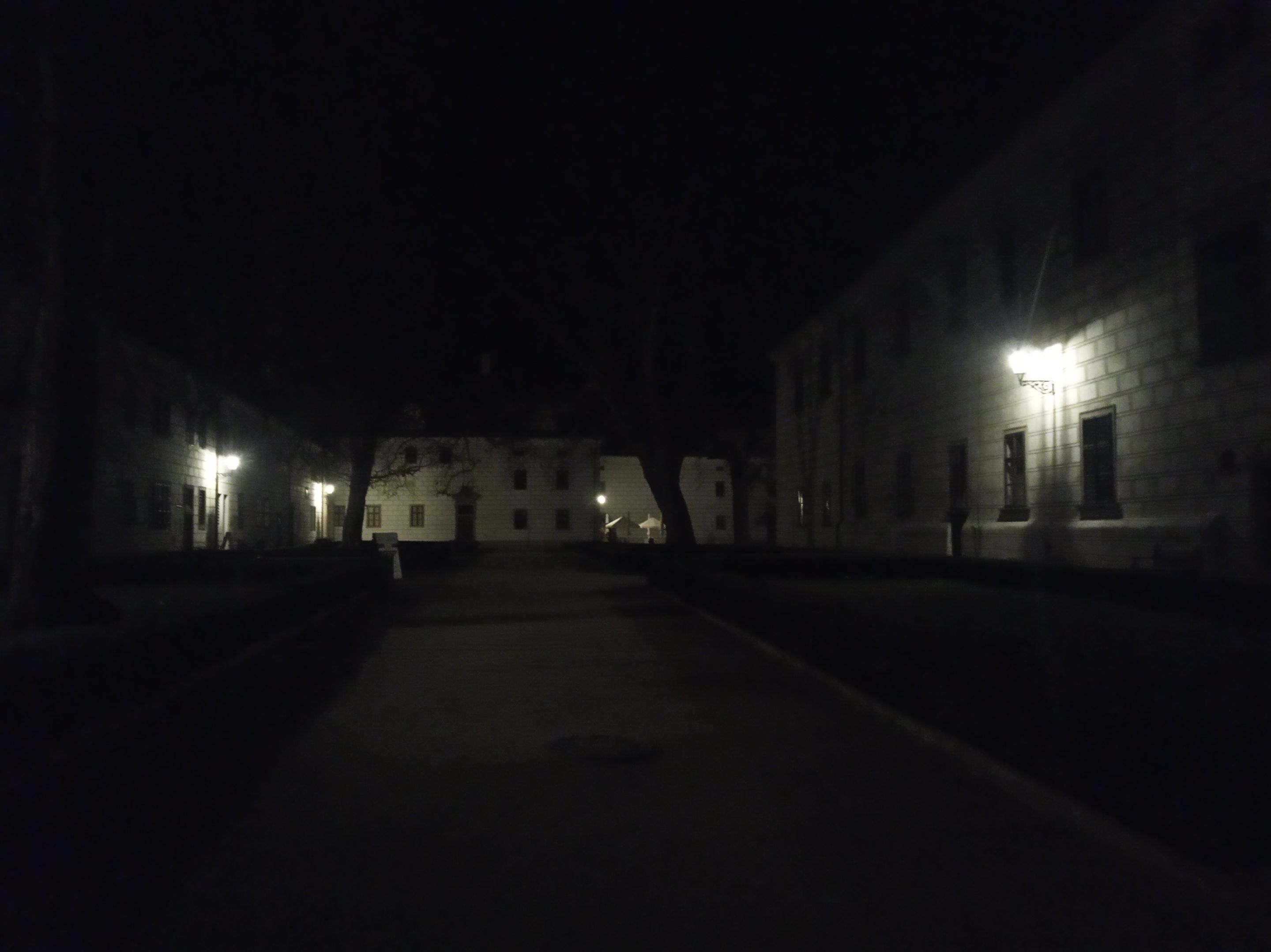 IMG_20250322_202121.jpg