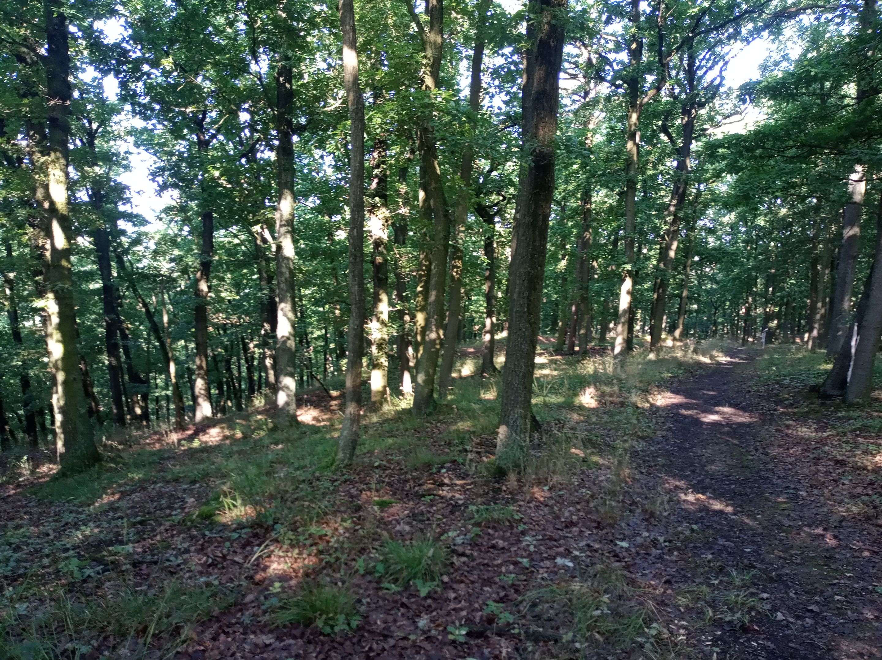 IMG_20250719_090758.jpg