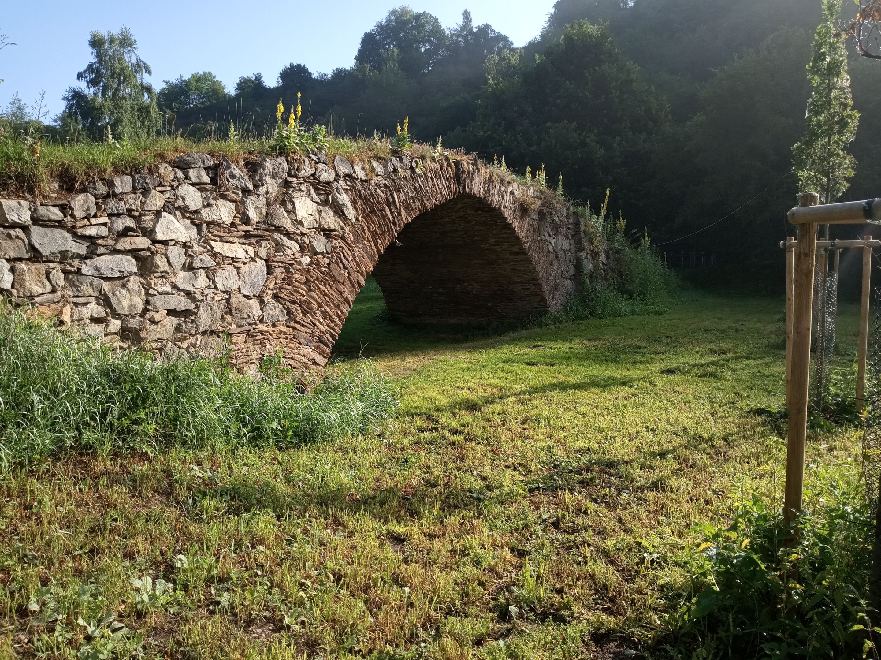 IMG_20250719_083141.jpg