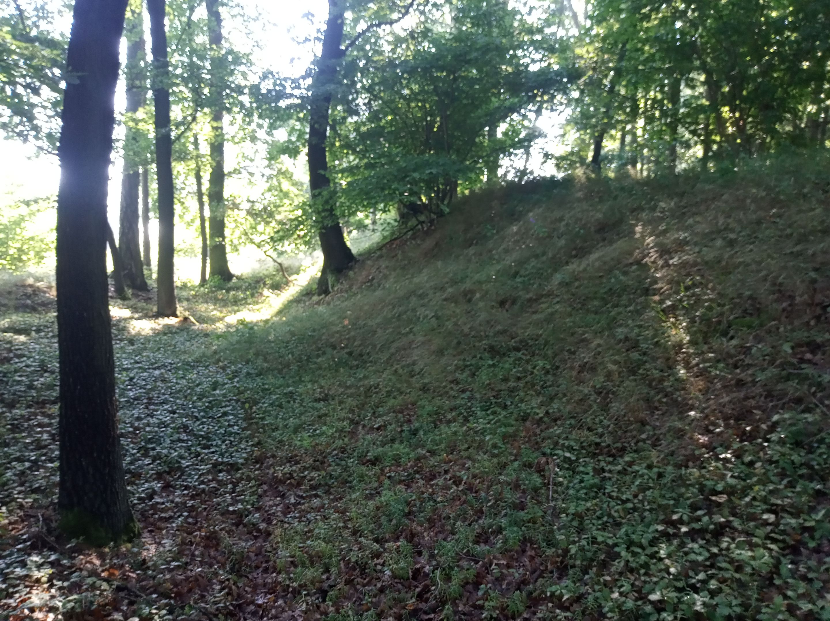 IMG_20250719_085736.jpg