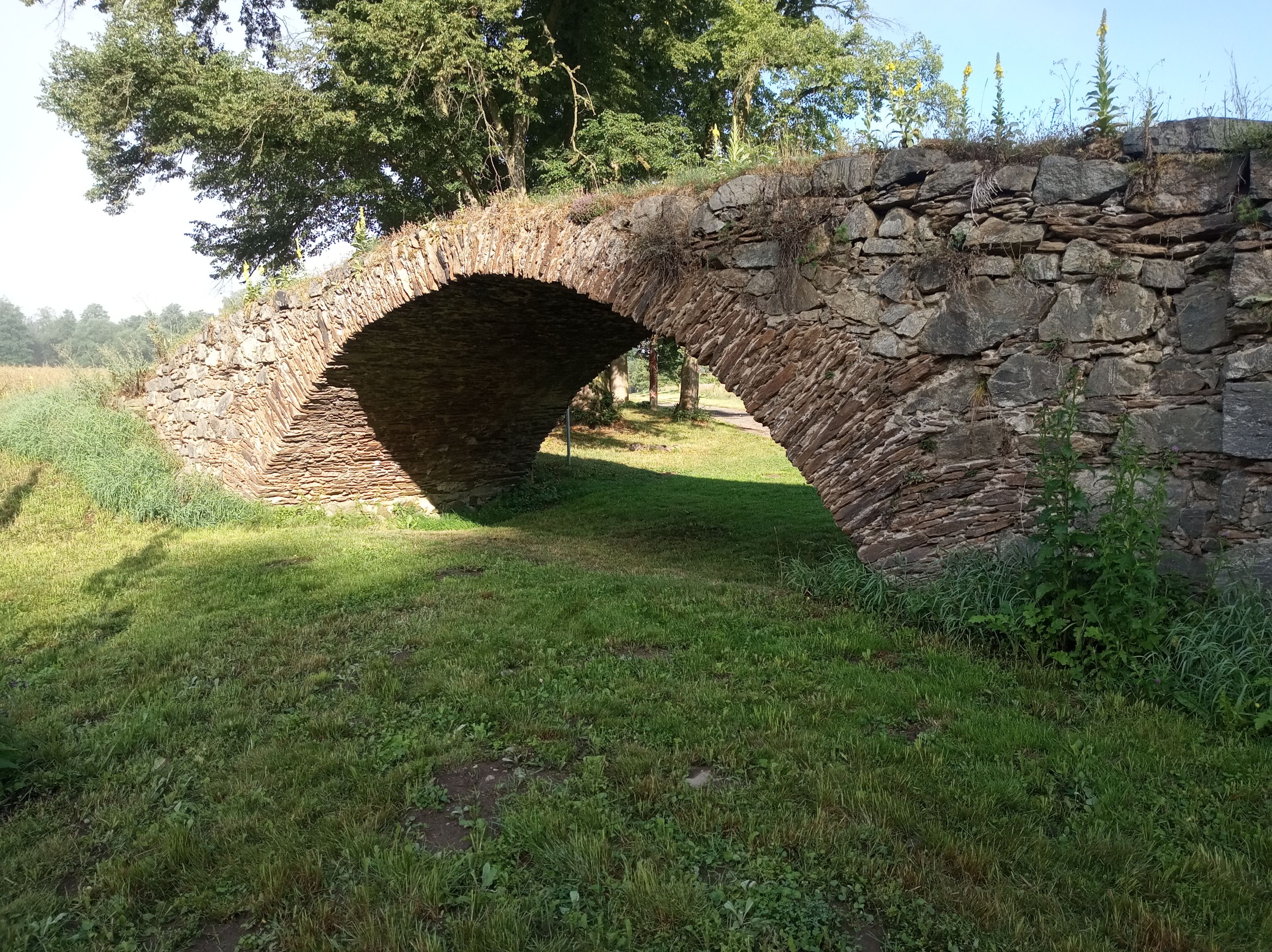 IMG_20250719_083002.jpg