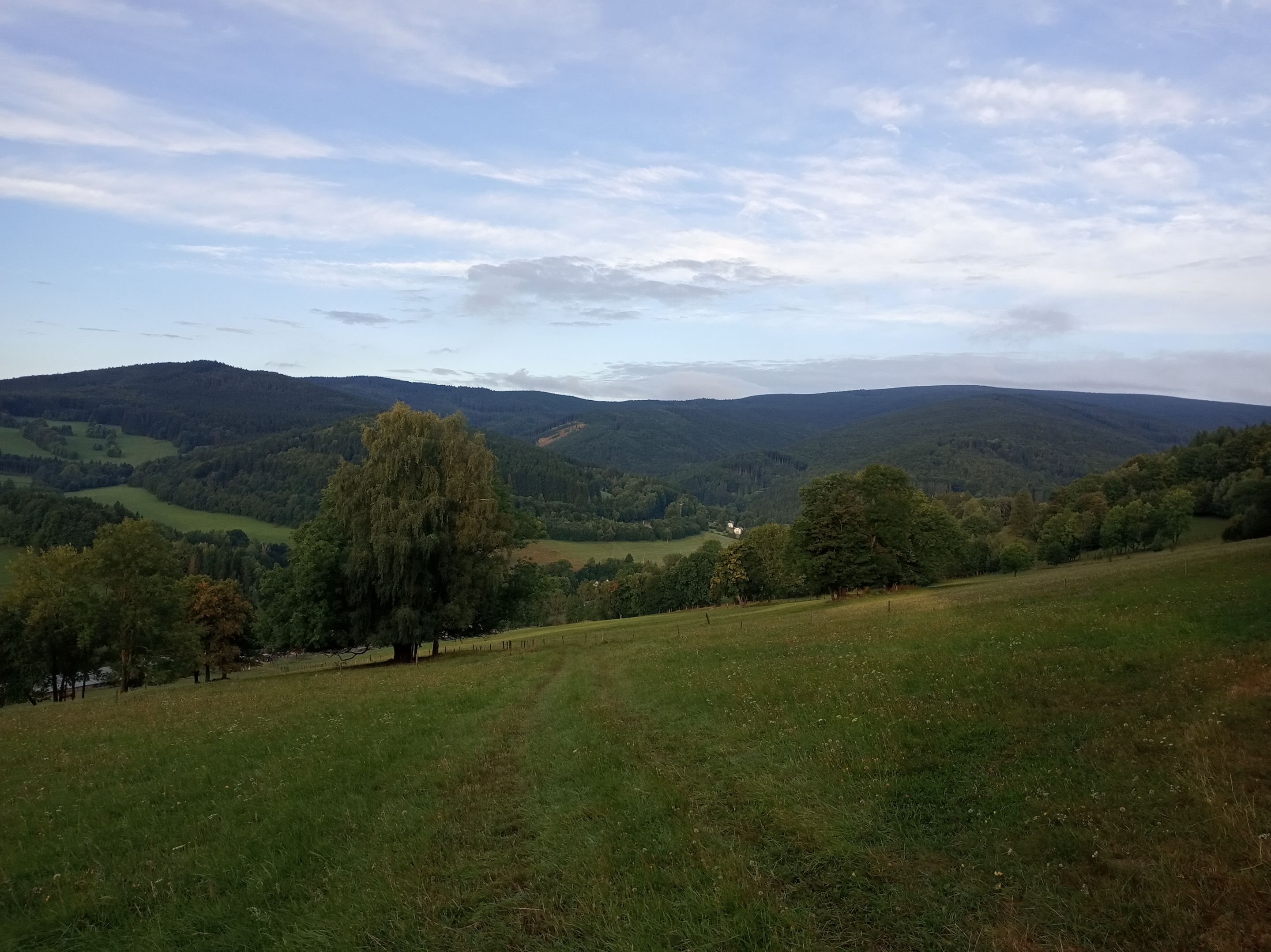 IMG_20250903_071317.jpg