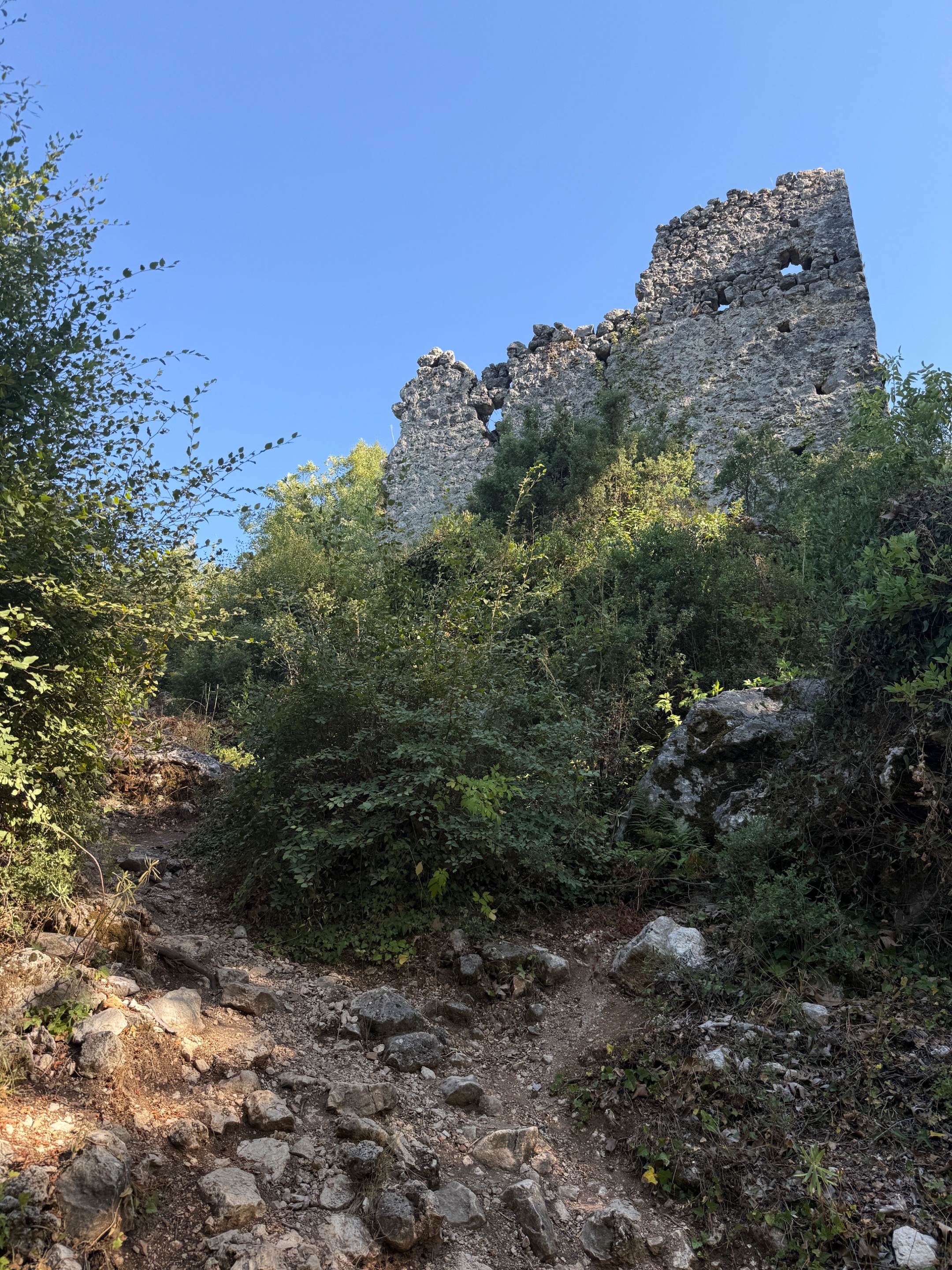 IMG_1557.jpeg