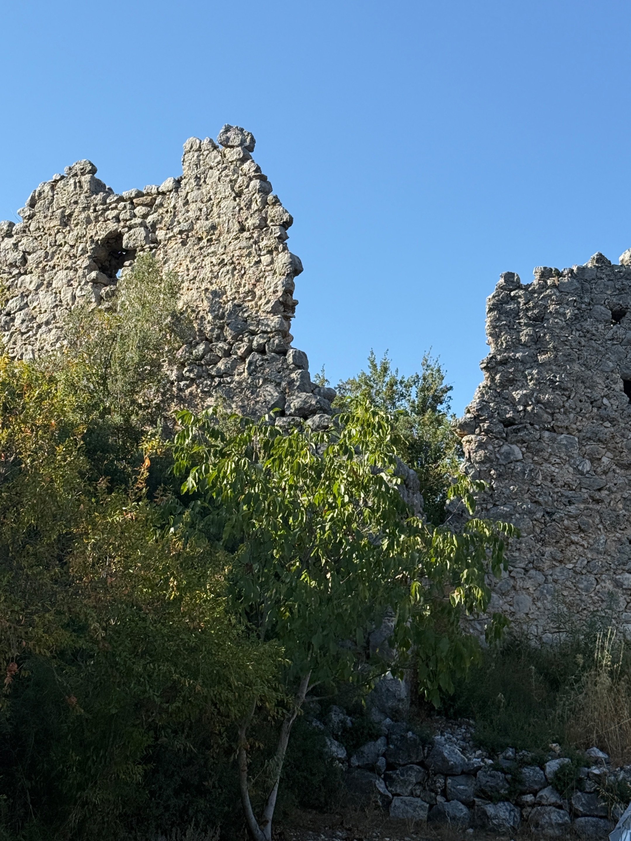 IMG_1618.jpeg