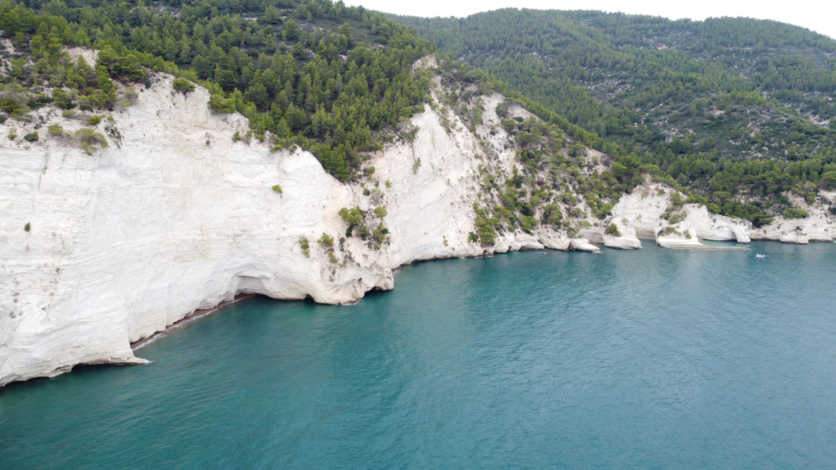 DJI_0263.jpeg