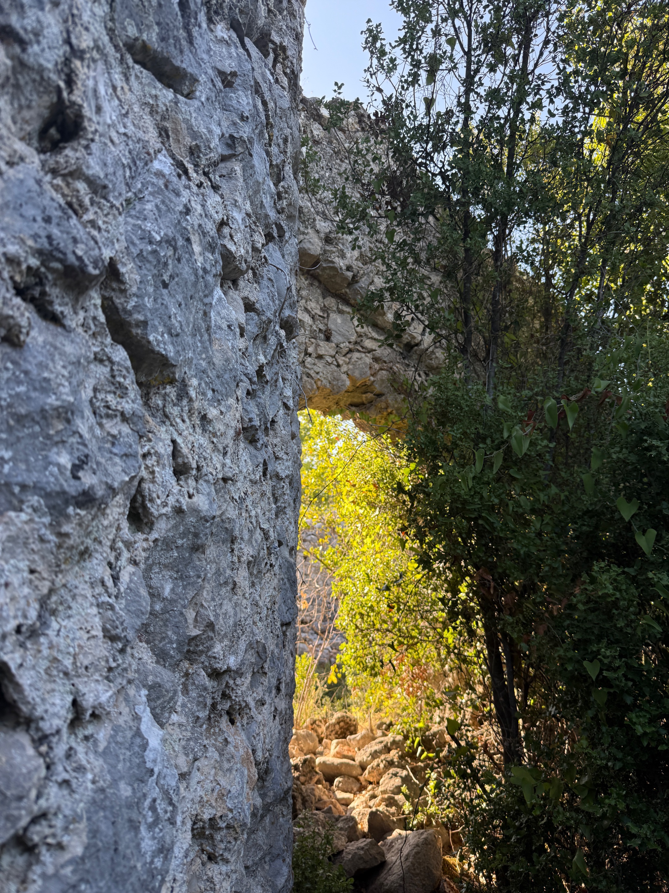 IMG_1559.jpeg