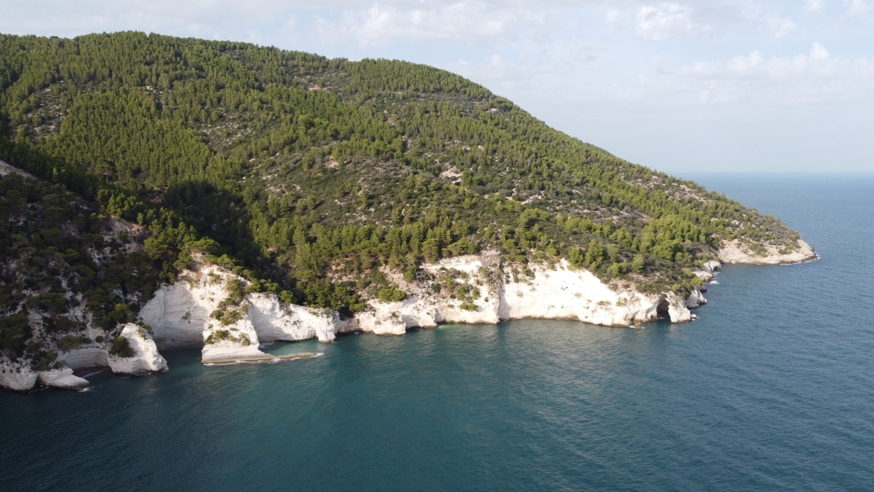 DJI_0324.jpeg