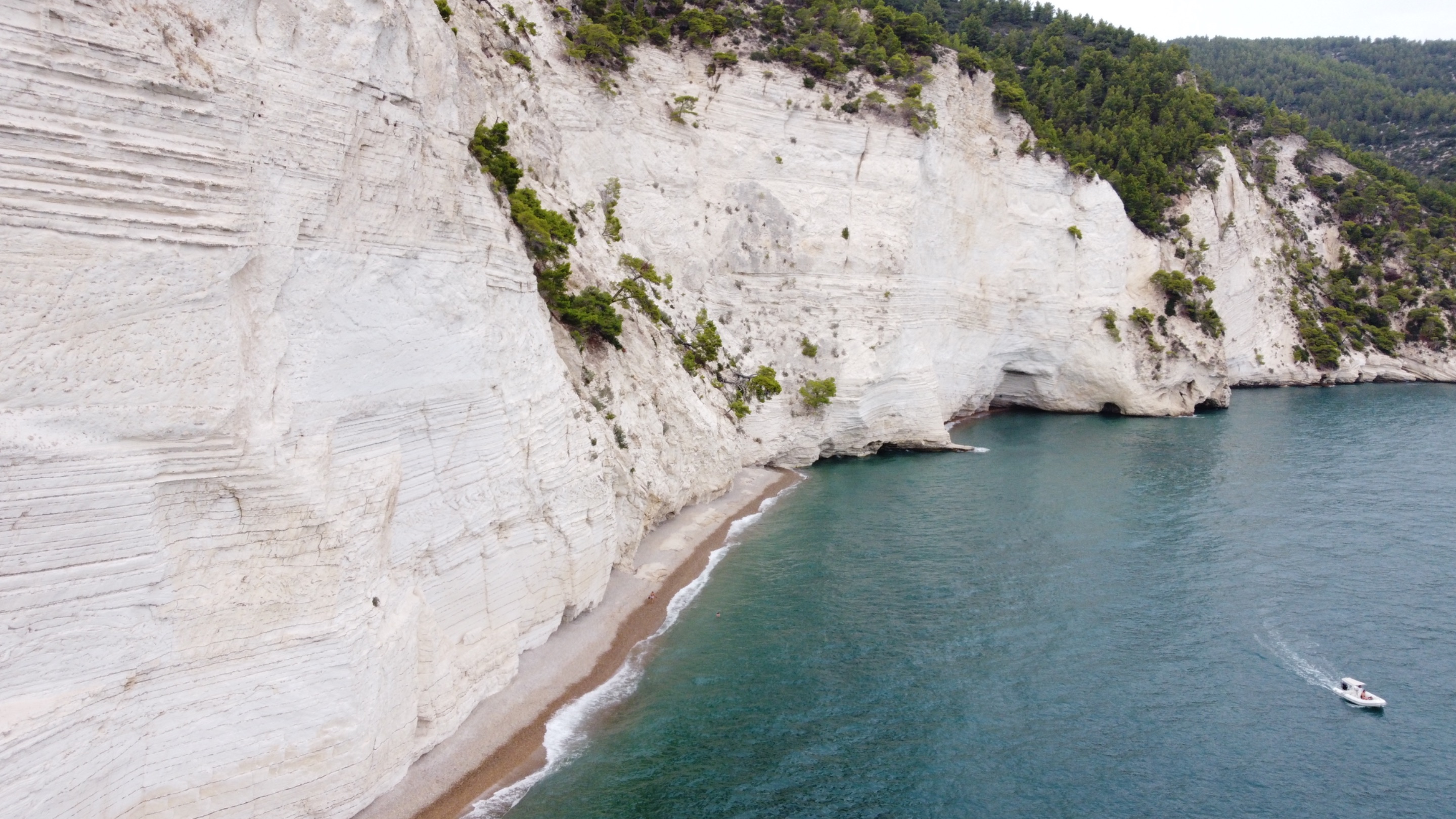 DJI_0288.jpeg