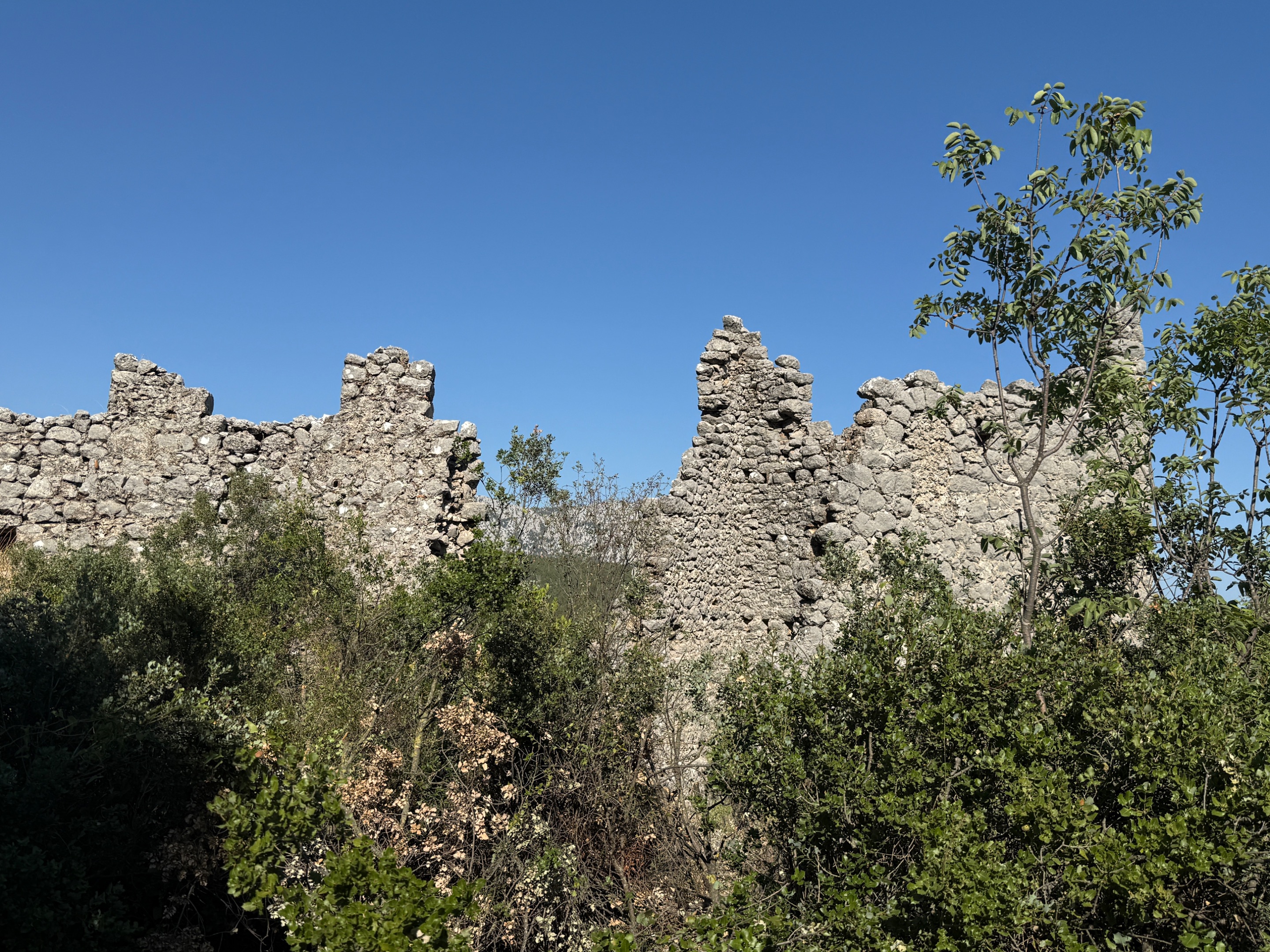 IMG_1564.jpeg