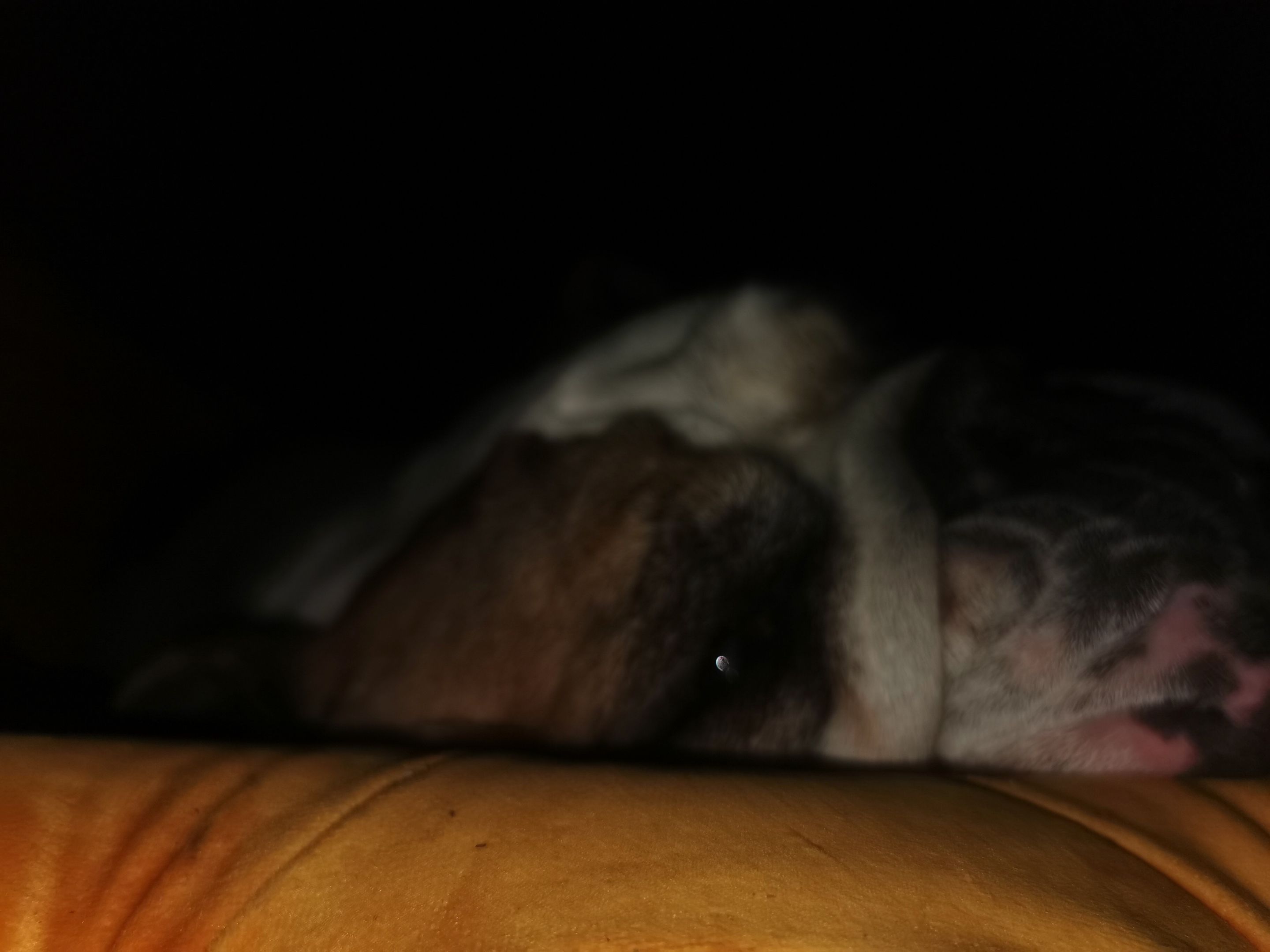 EoGqemY6cLbK3fW8jCWA5Jz4ZuZDmNin4BdveZ8kyyAvpmnpWfhMcj2juV72dsVLPNG.jpeg
