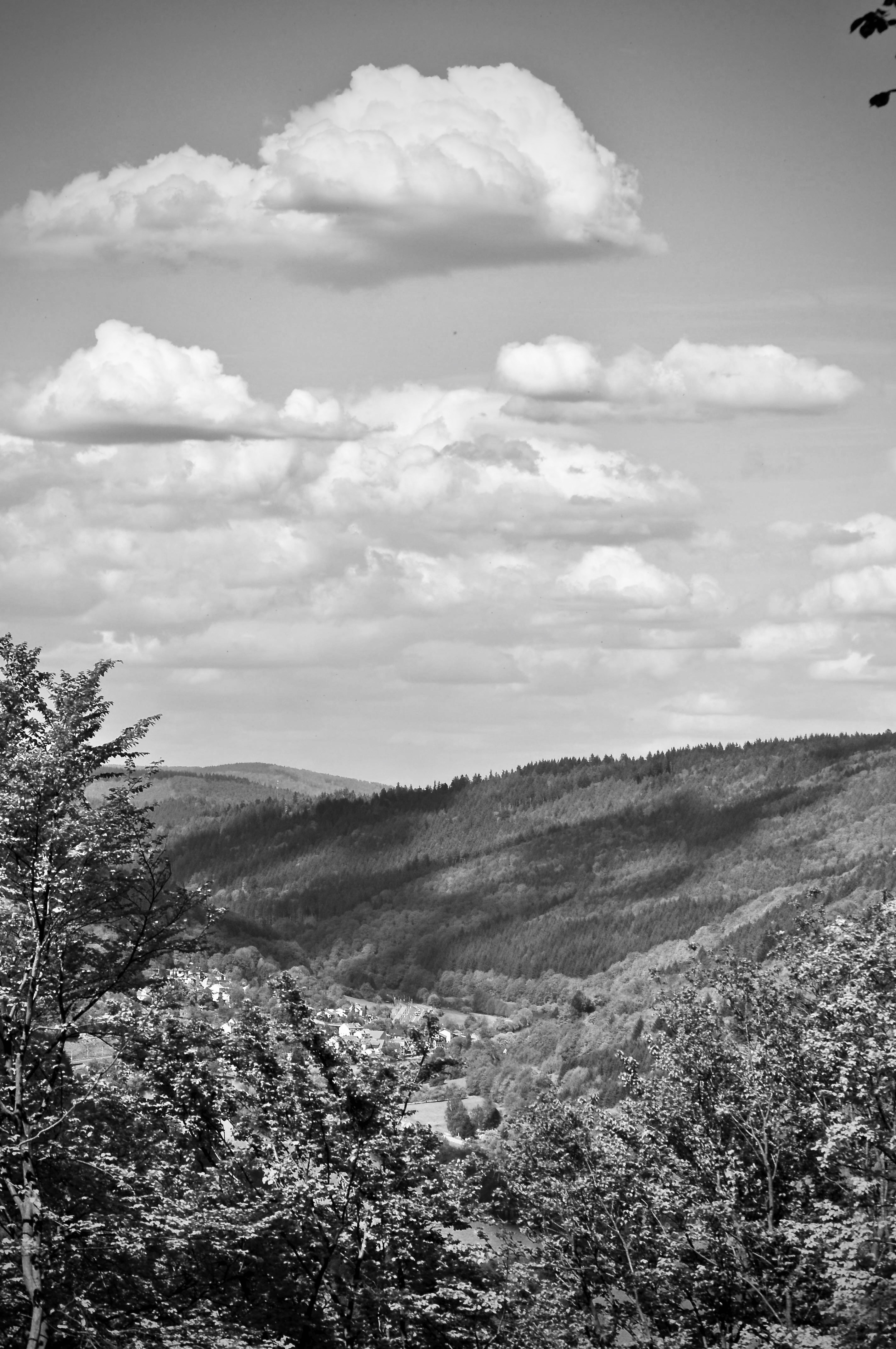 XOdH3iYF-DSC_2361201.jpg