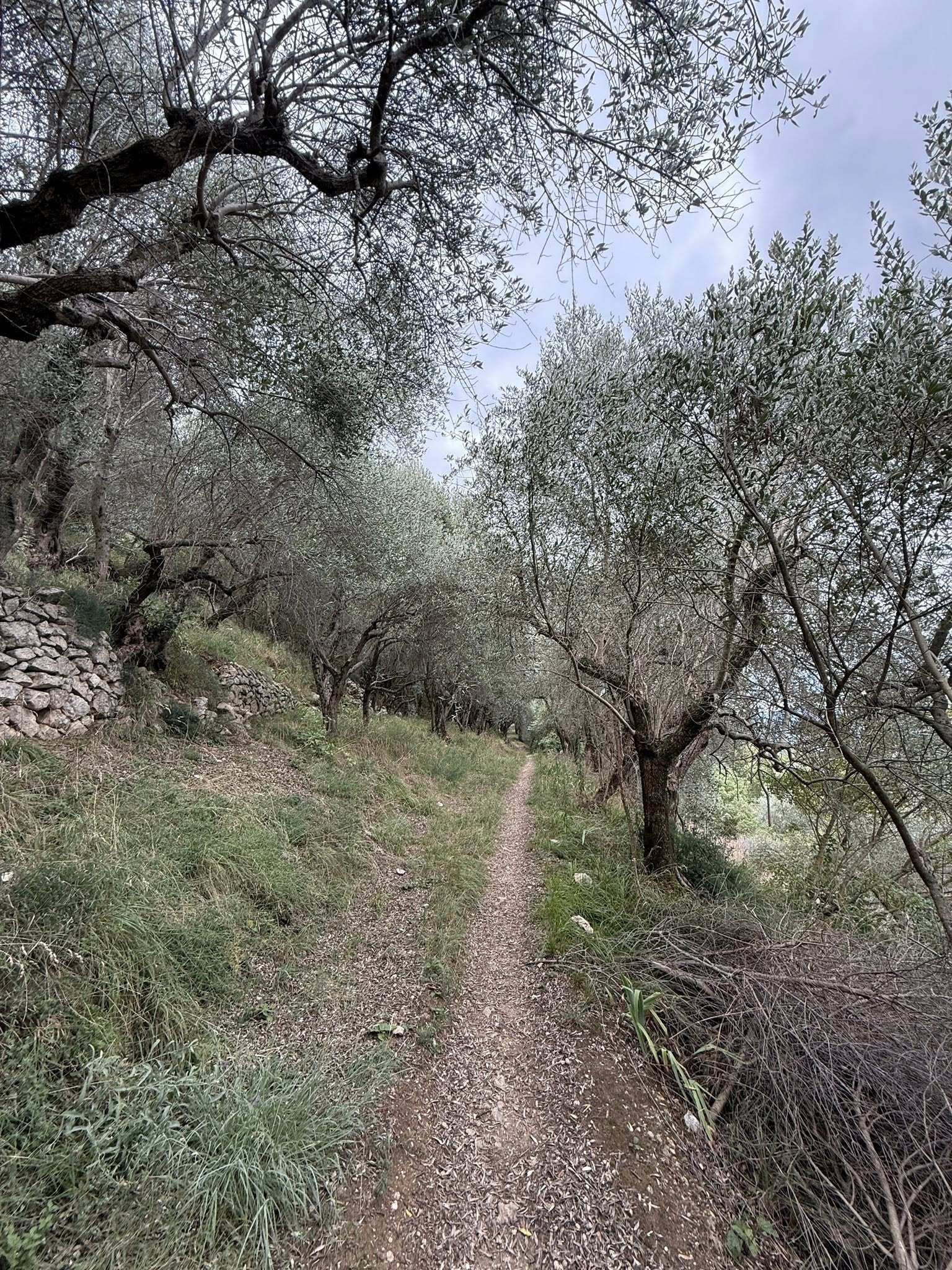 539119966_4147741765503656_163580299536806349_n.jpg