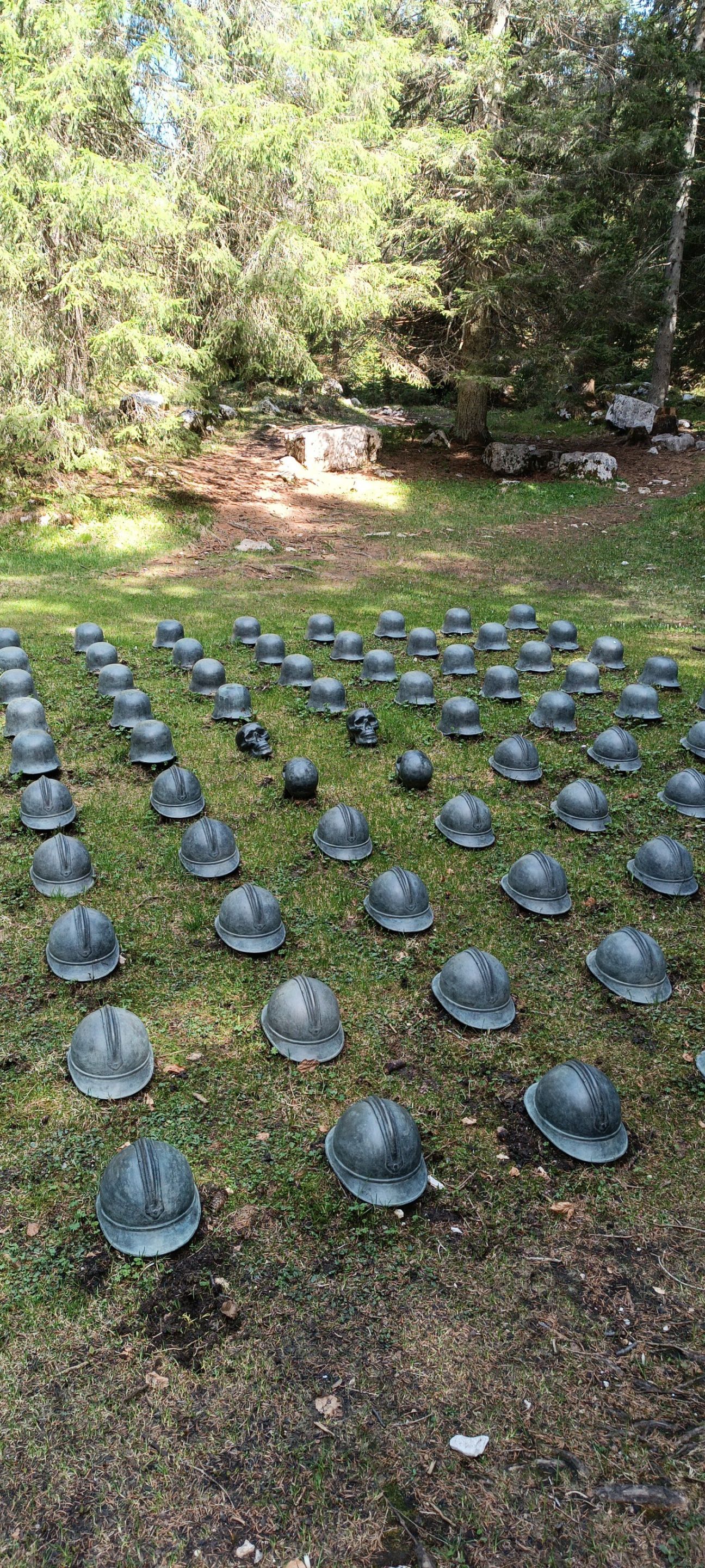 498606547_2501666676854488_5116254645275070077_n.jpg