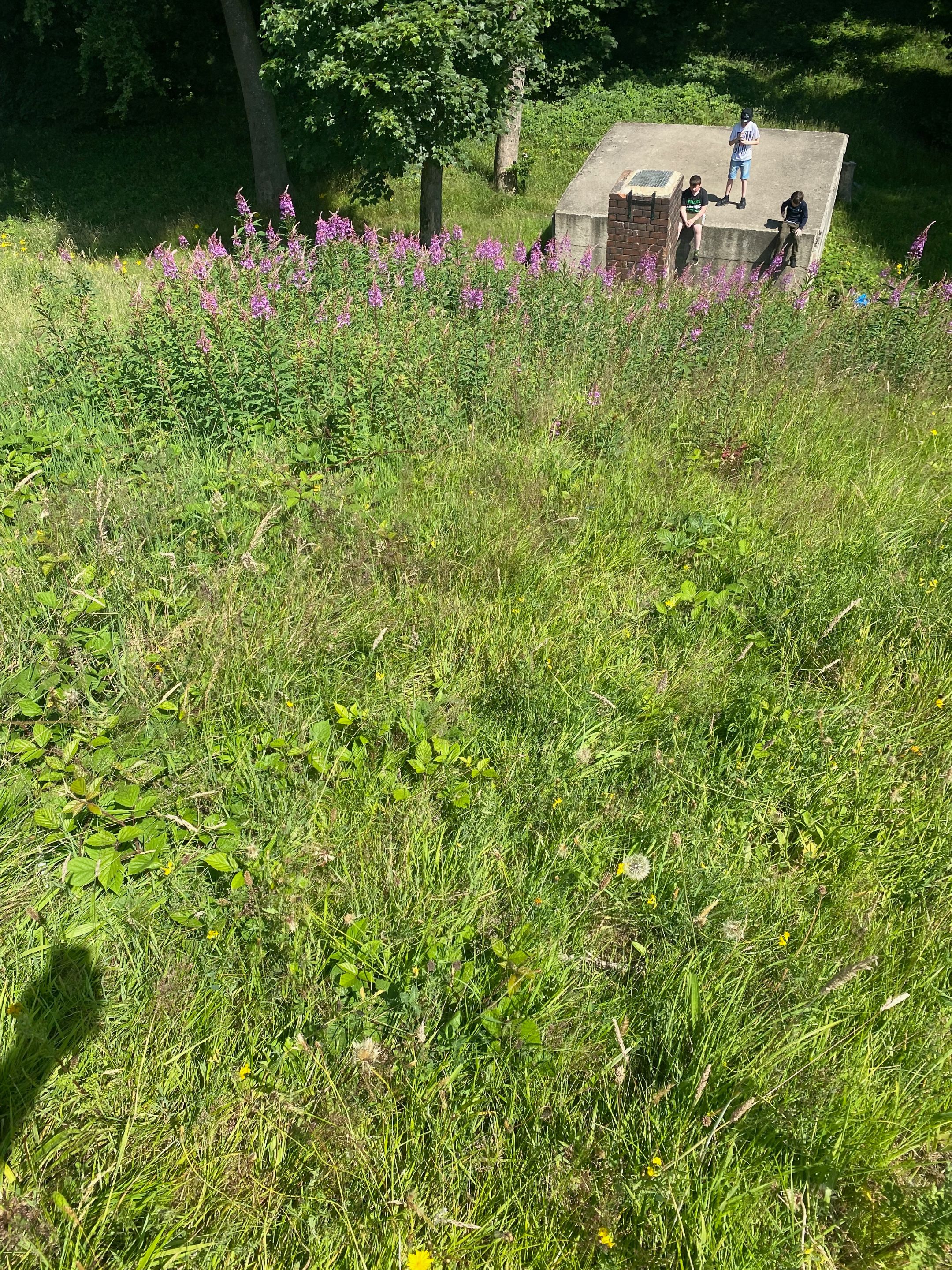 IMG_8330.jpeg