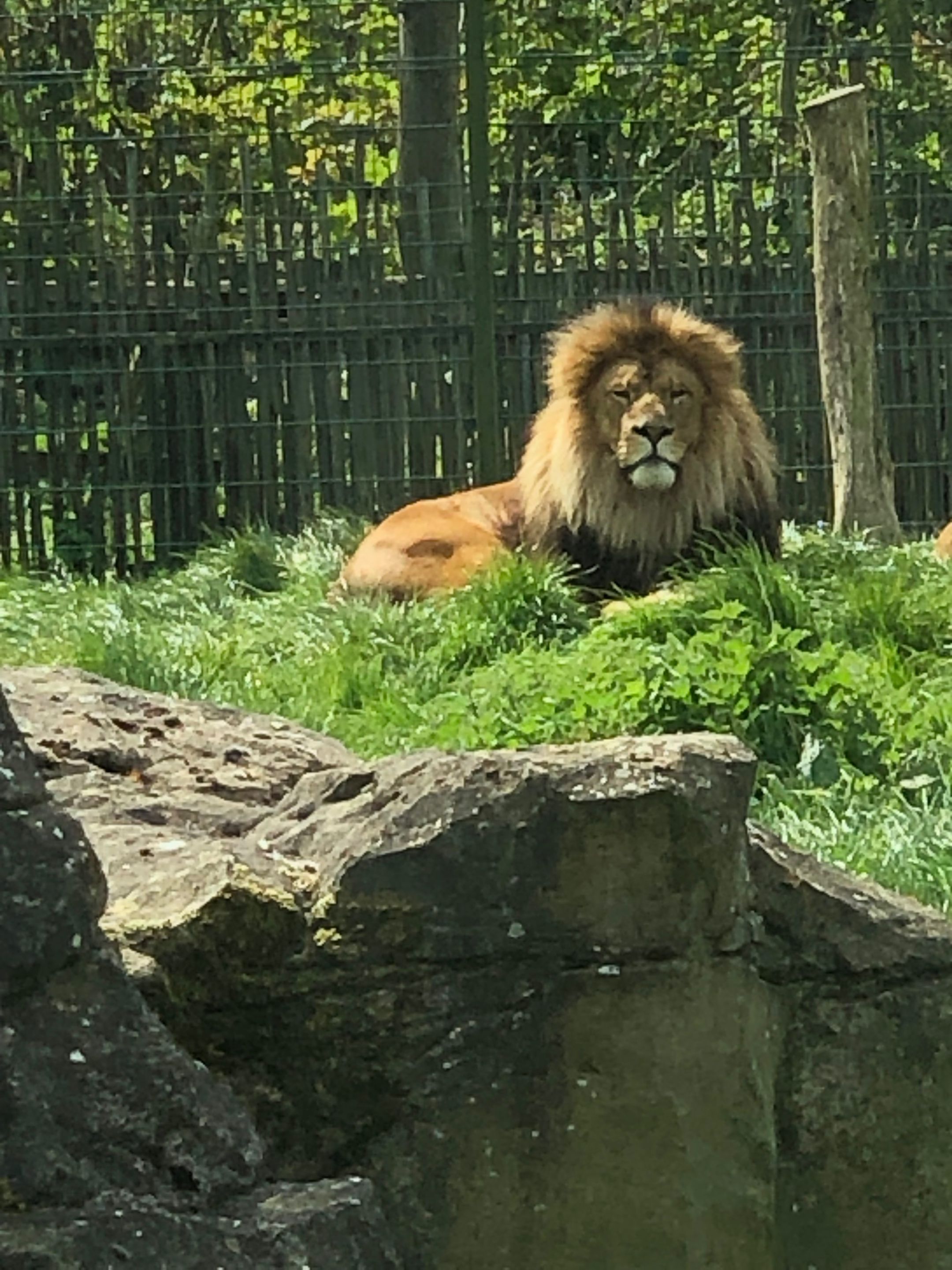 IMG_1551.jpeg