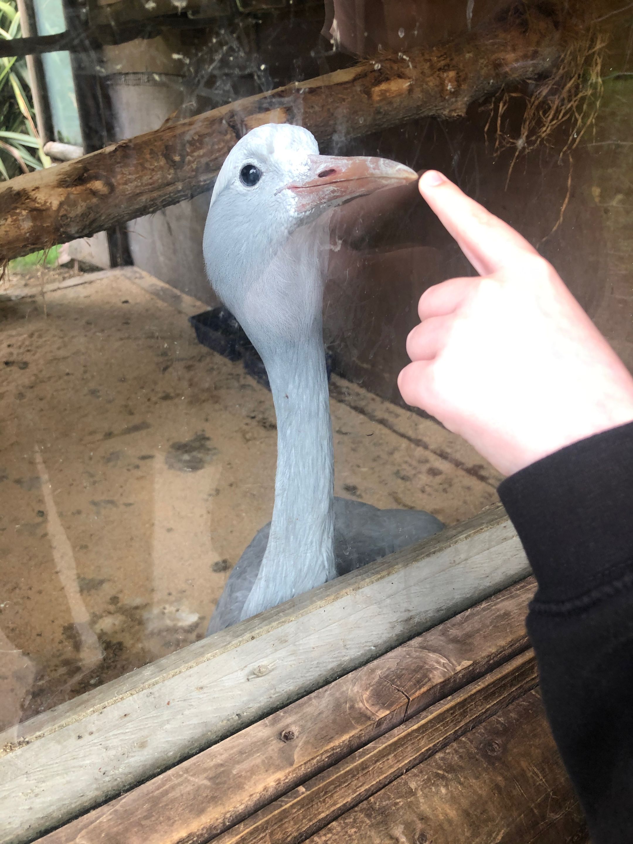 IMG_1256.jpeg