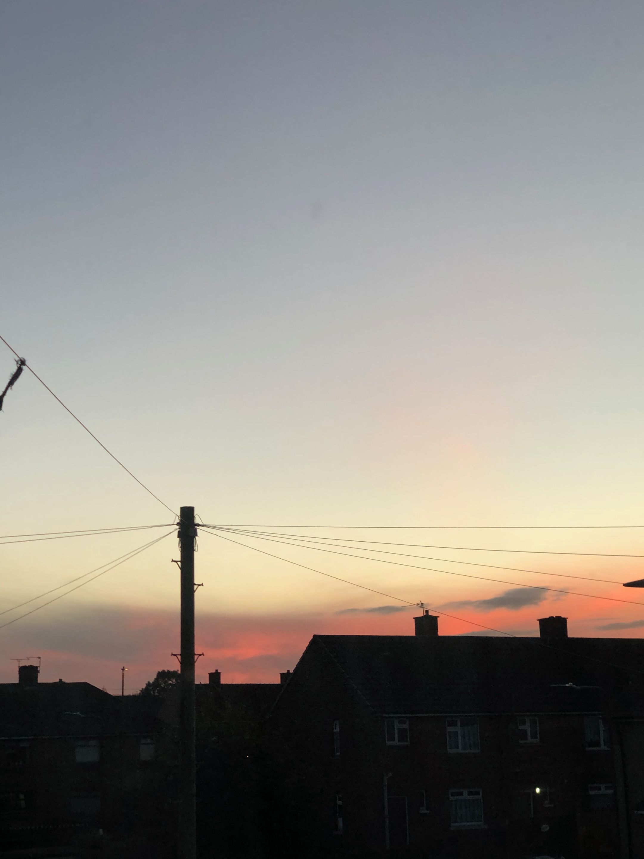 IMG_1387.jpeg