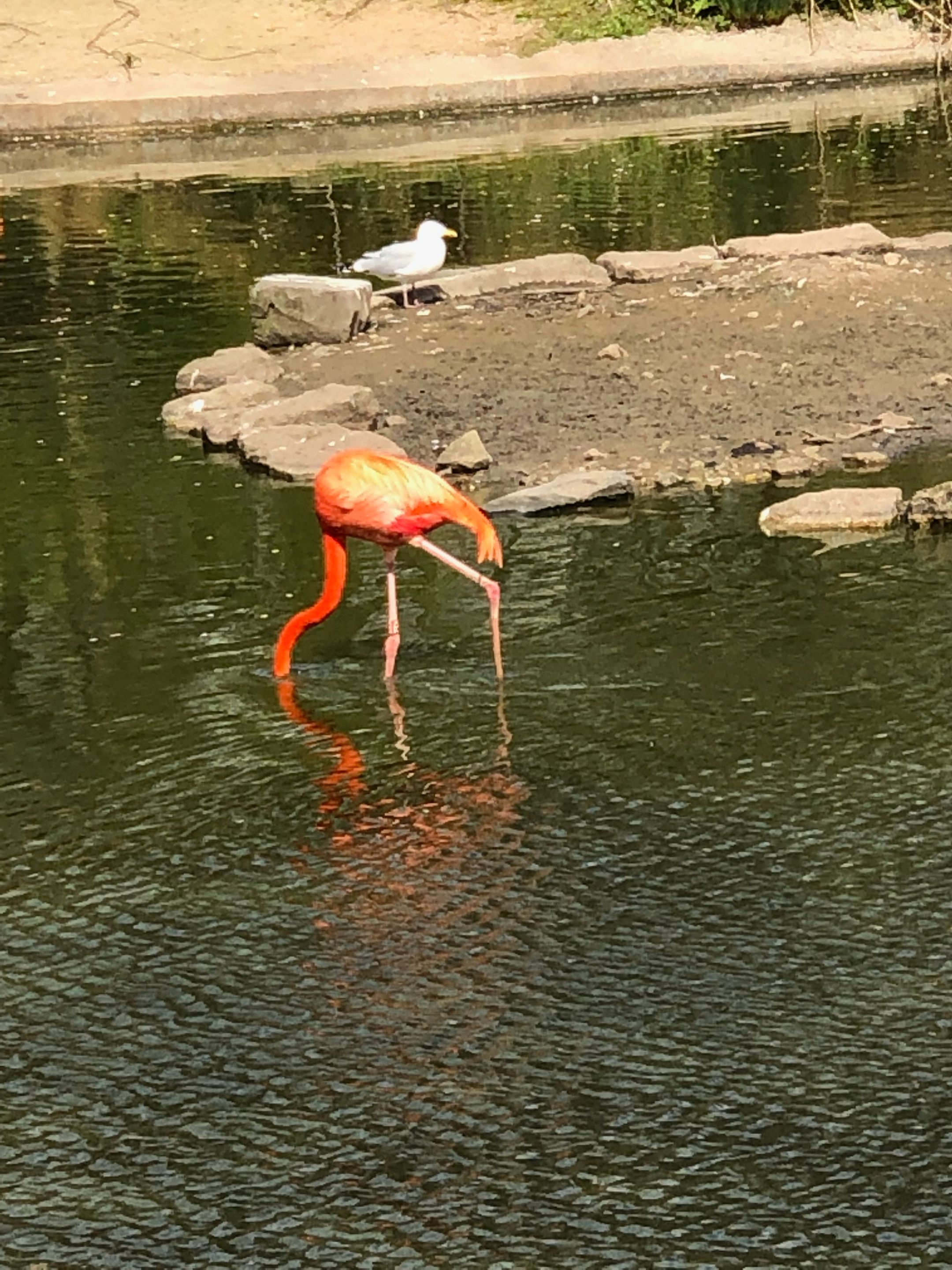 IMG_1592.jpeg