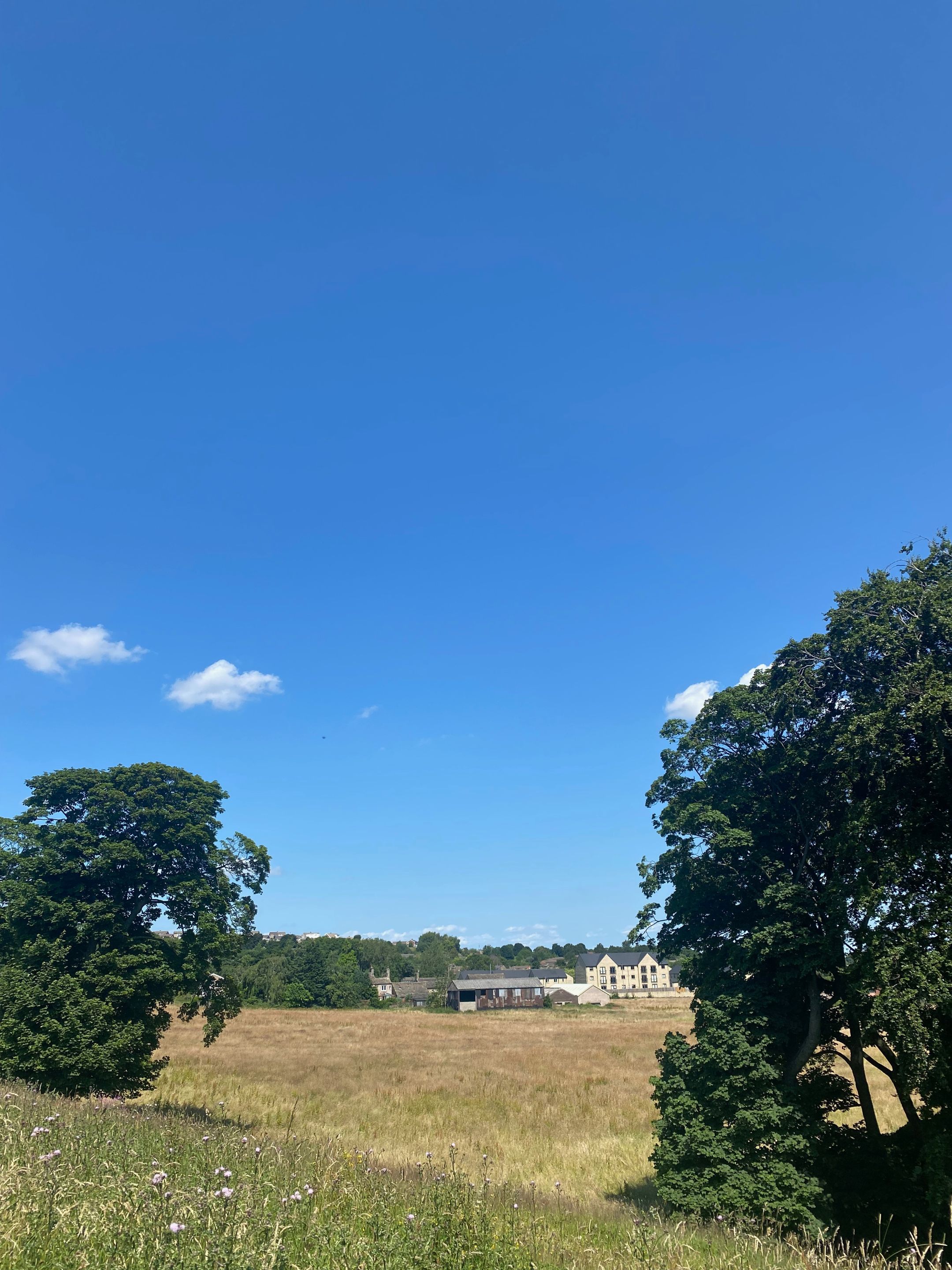 IMG_8320.jpeg