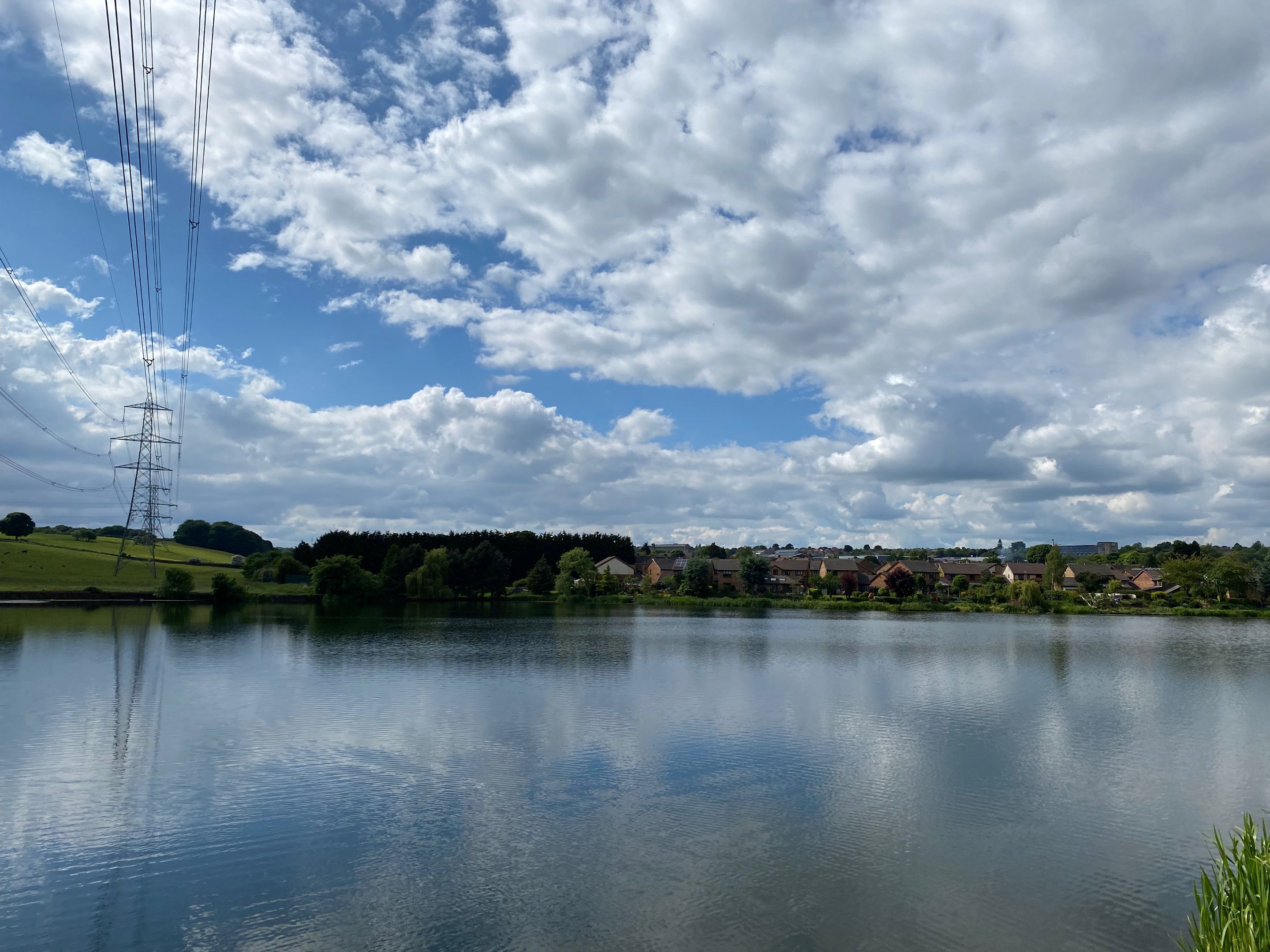 IMG_8096.jpeg