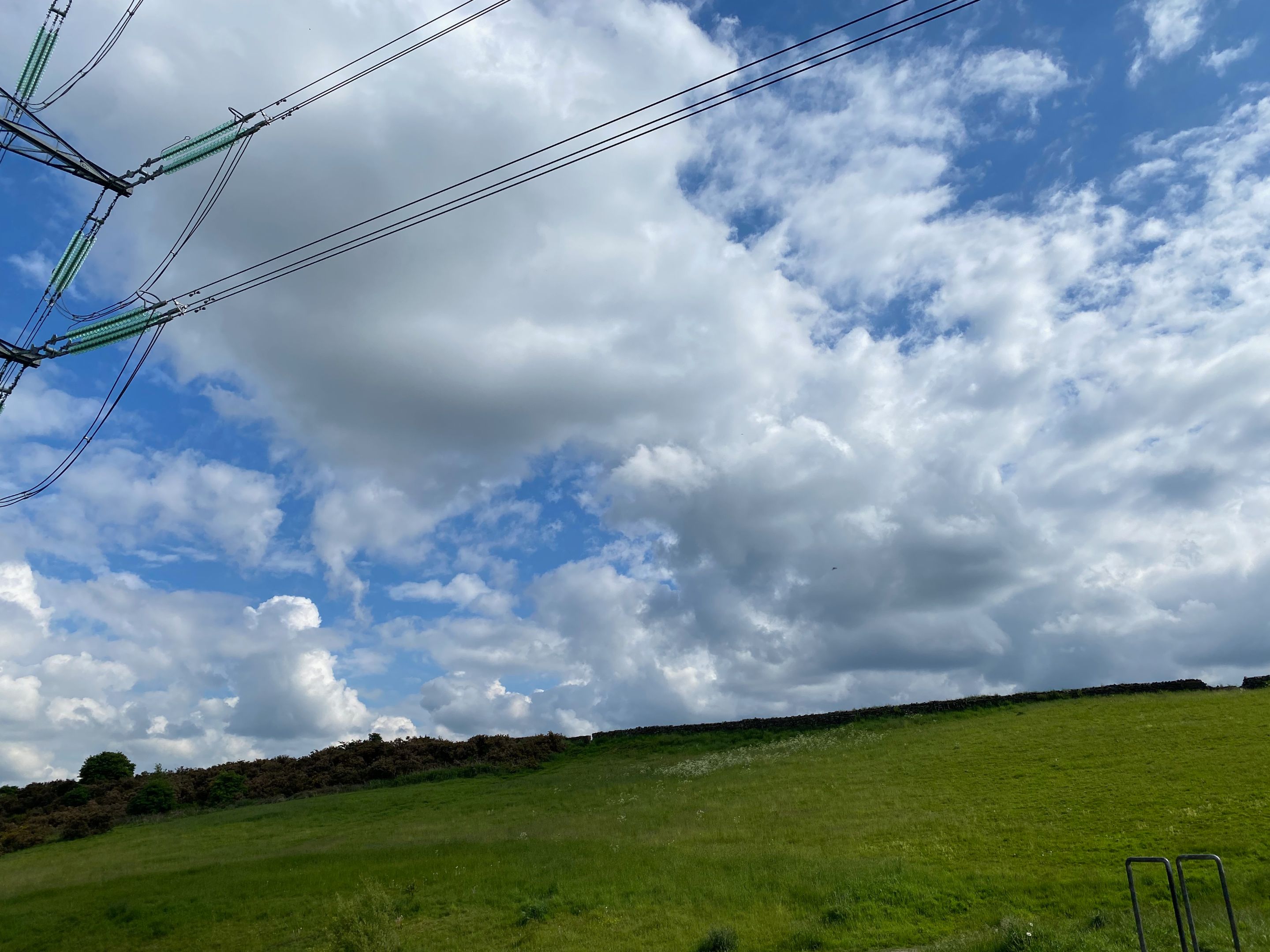 IMG_8098.jpeg