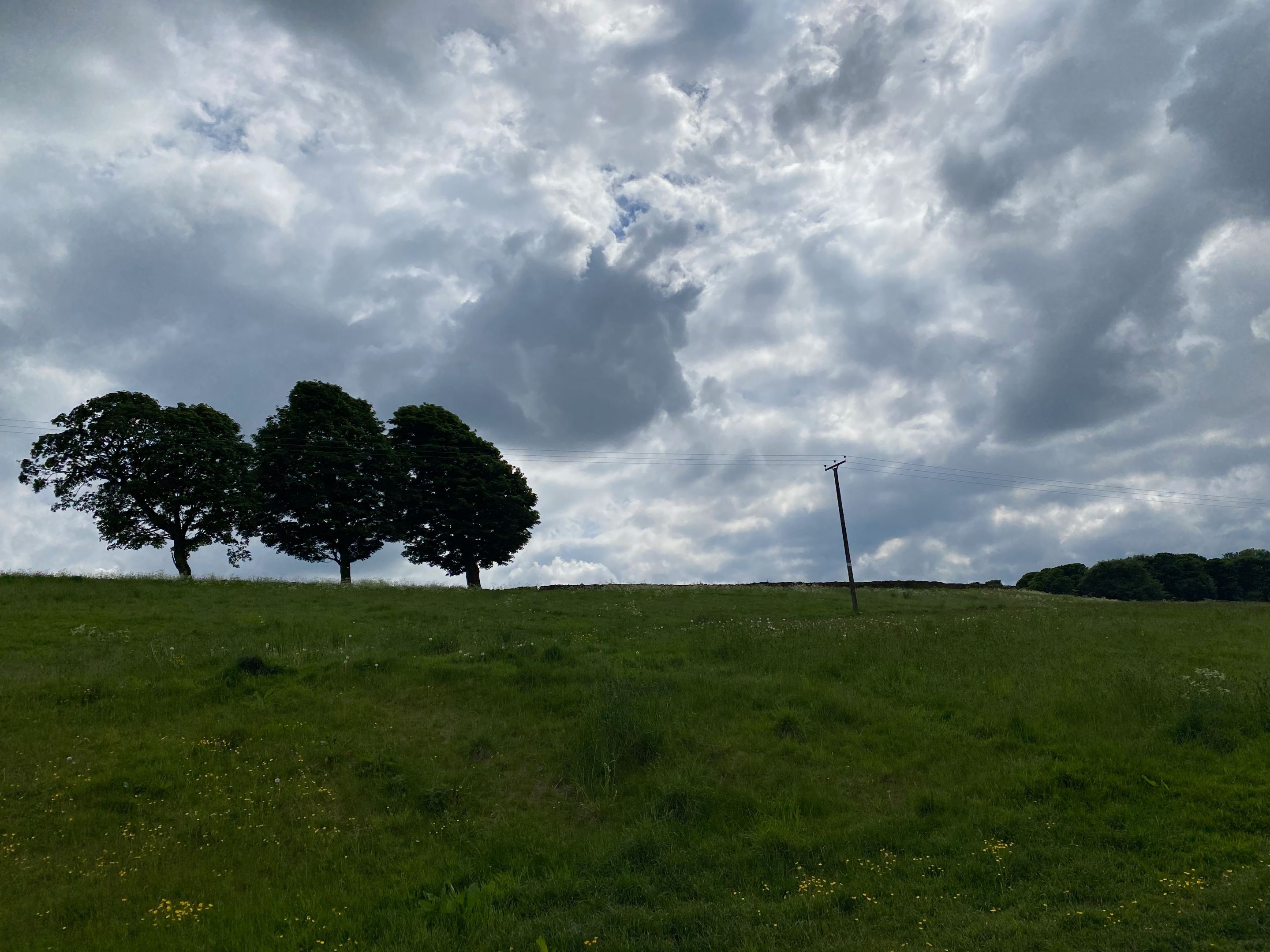 IMG_8092.jpeg