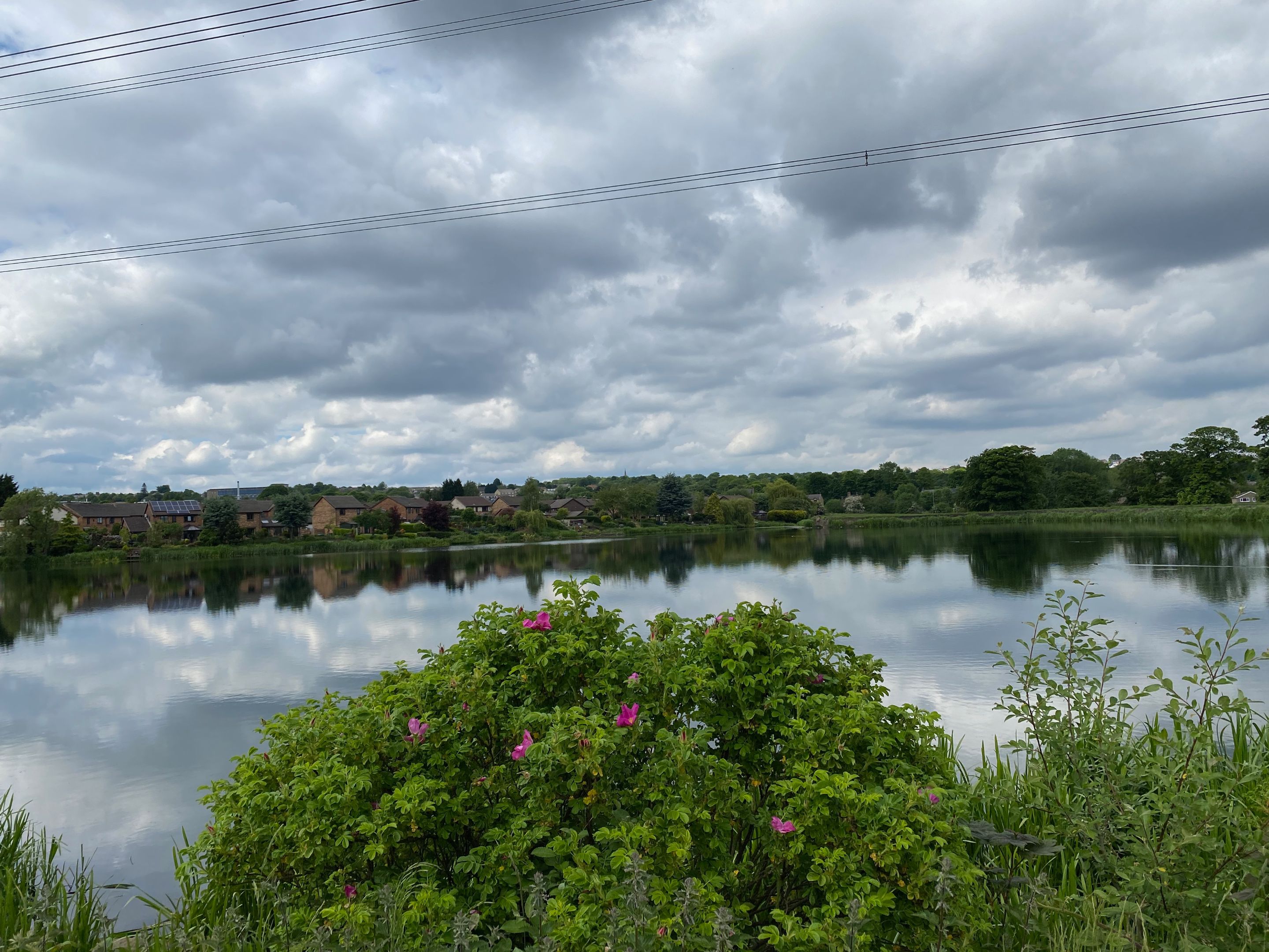 IMG_8090.jpeg