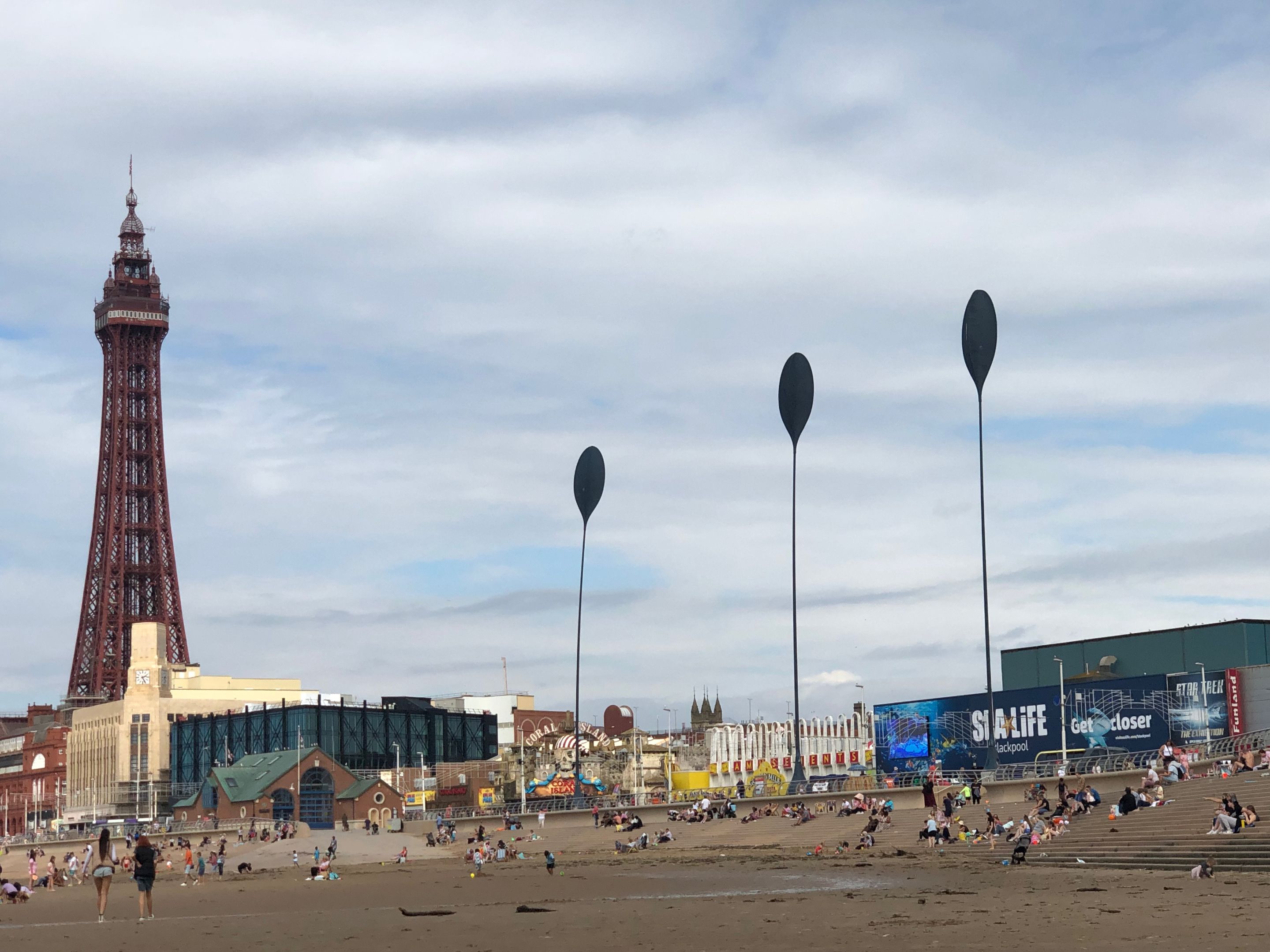 IMG_2010.jpeg