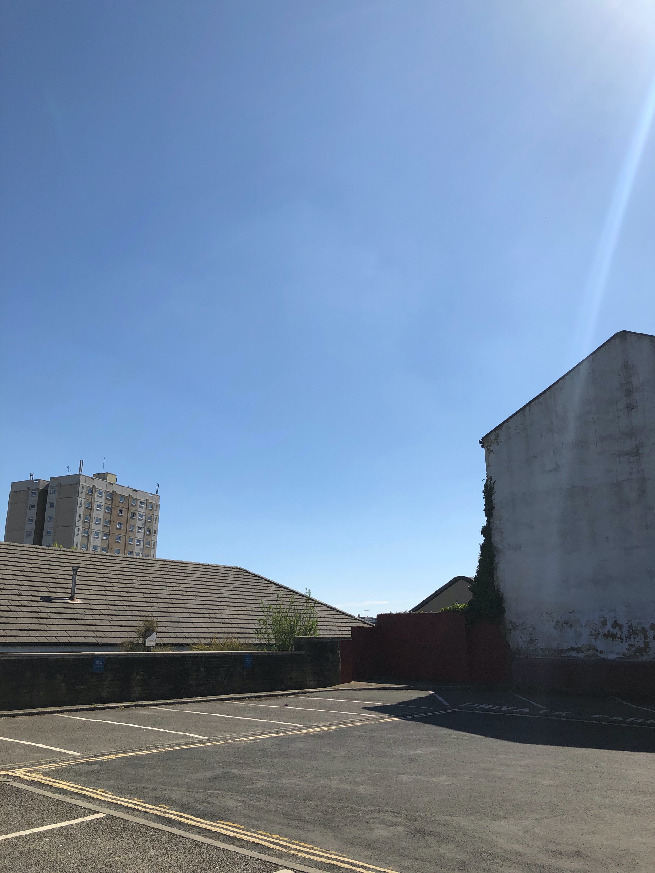 IMG_5366.jpeg
